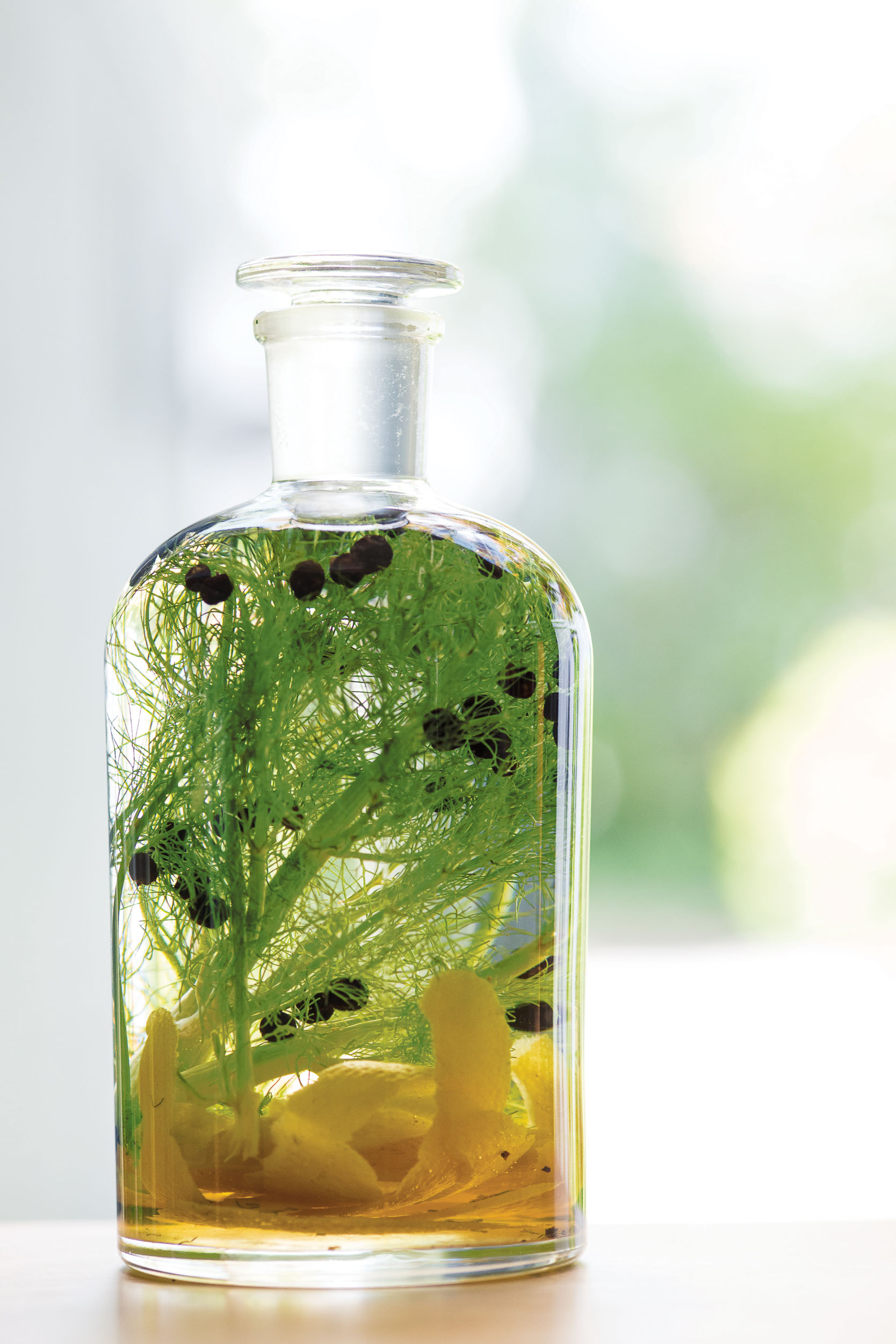 Fennel-Infused Vodka