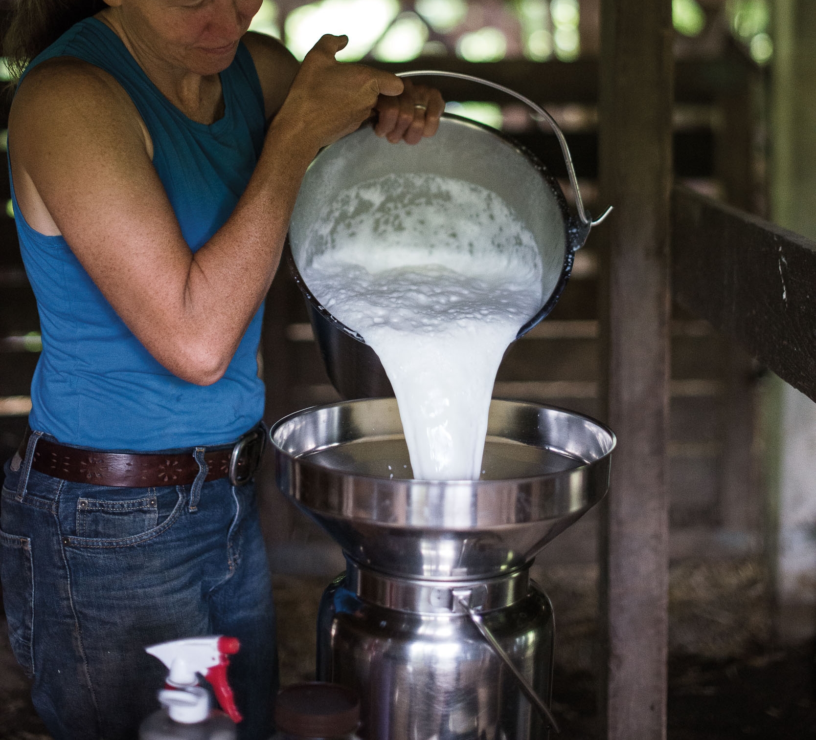 Find & Enjoy Fresh Milk