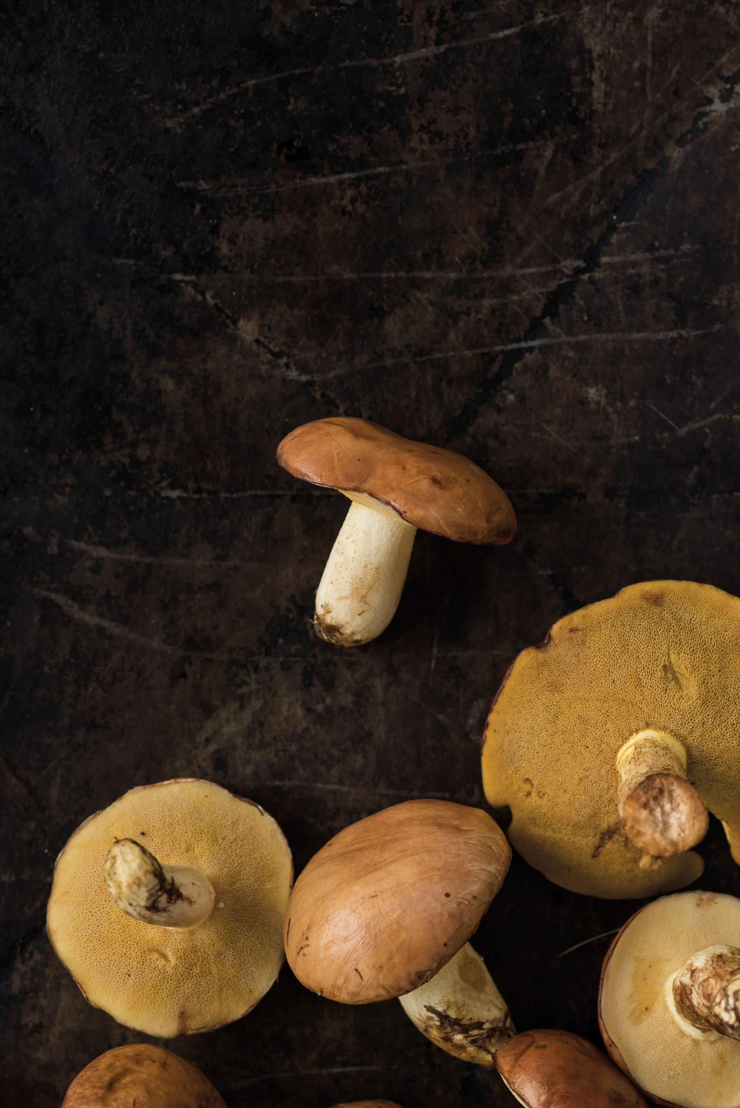 One Ingredient: Mushrooms