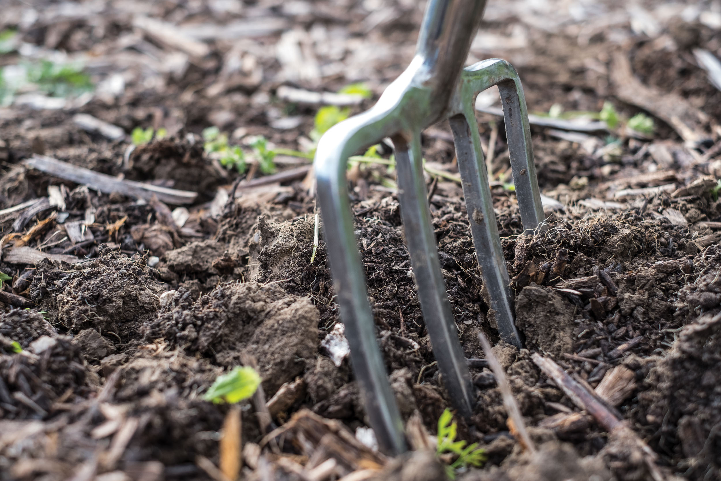 Putting Down Roots