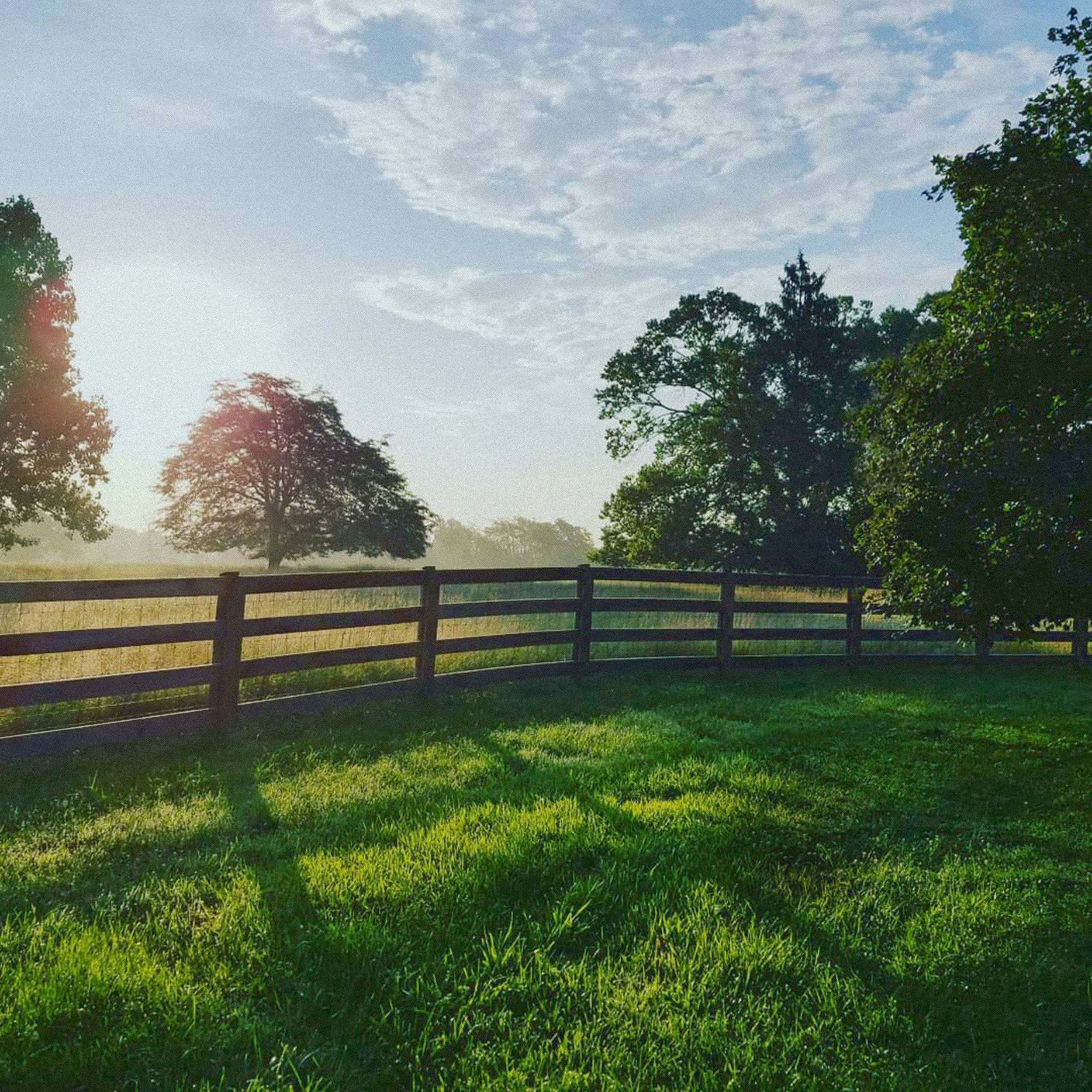 100% Grass