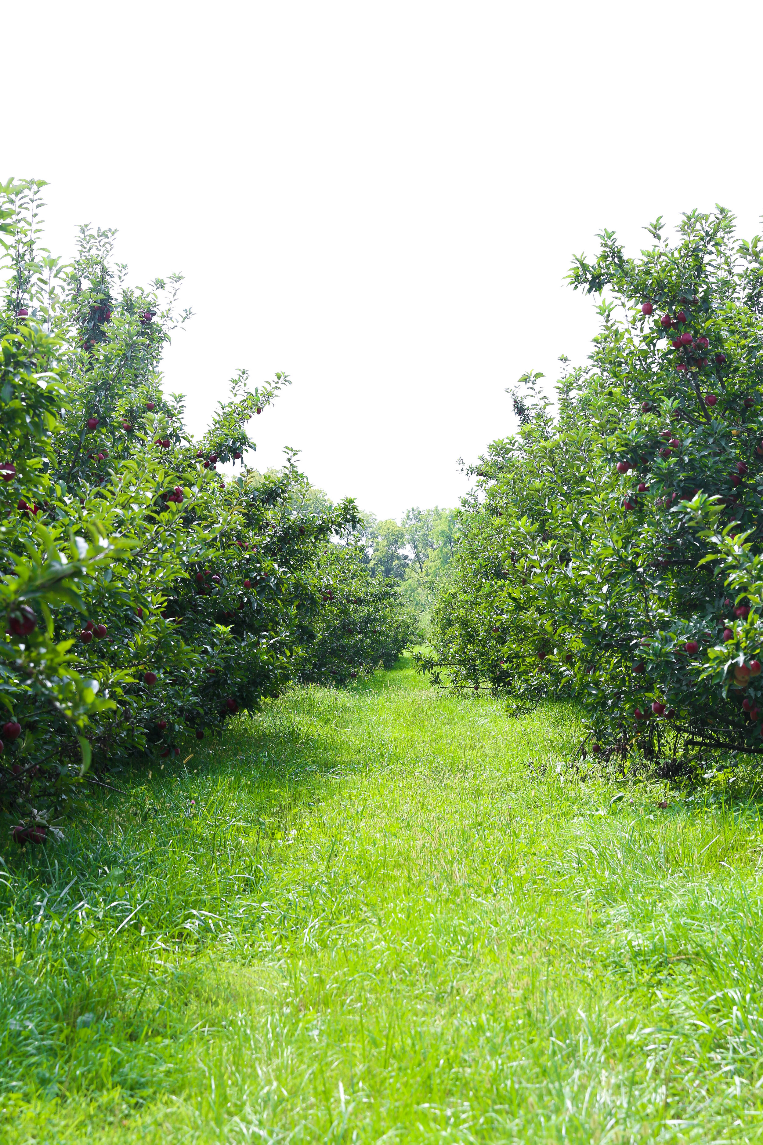 Wesler Farm (10).jpg