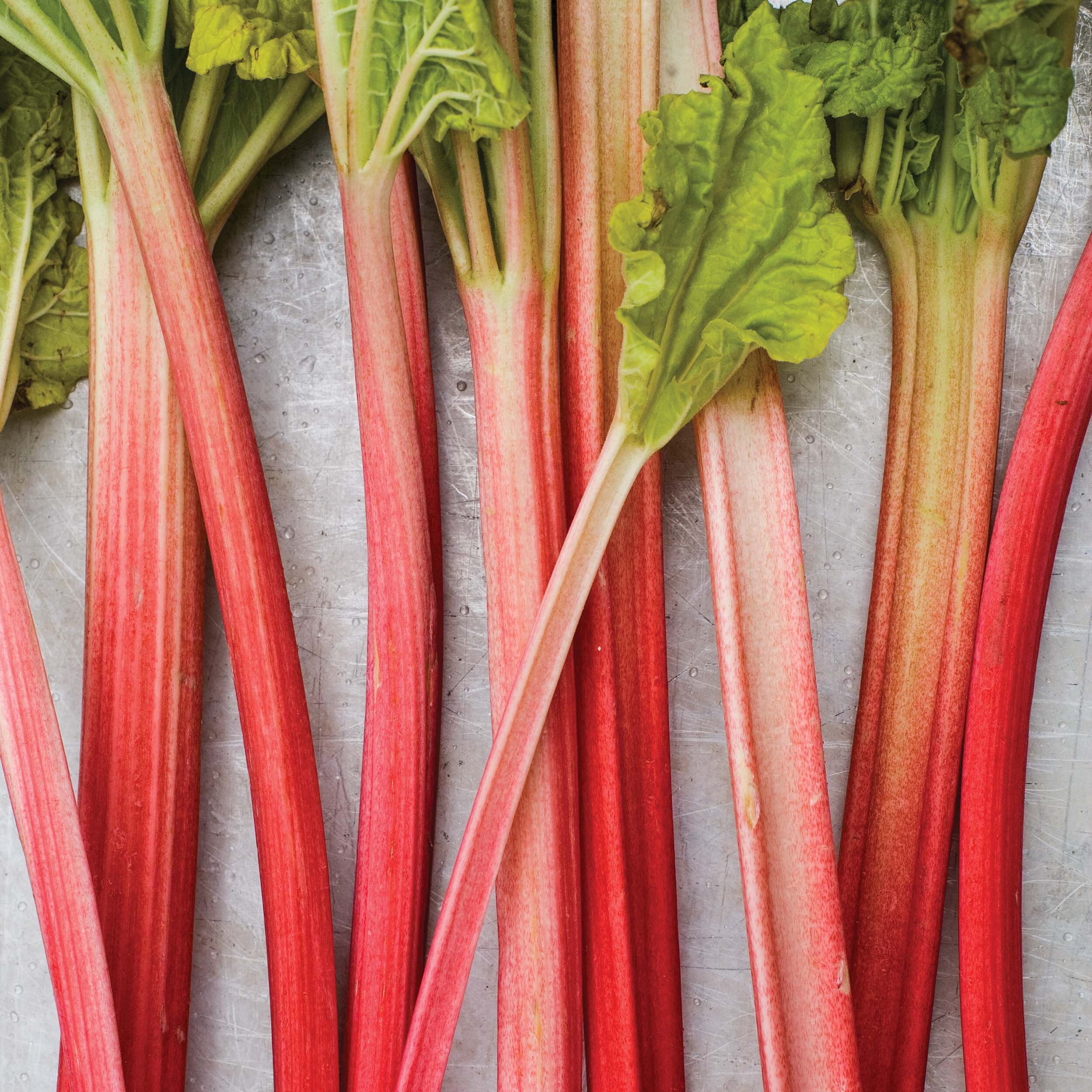 Spring is Here, and So is Our New Issue