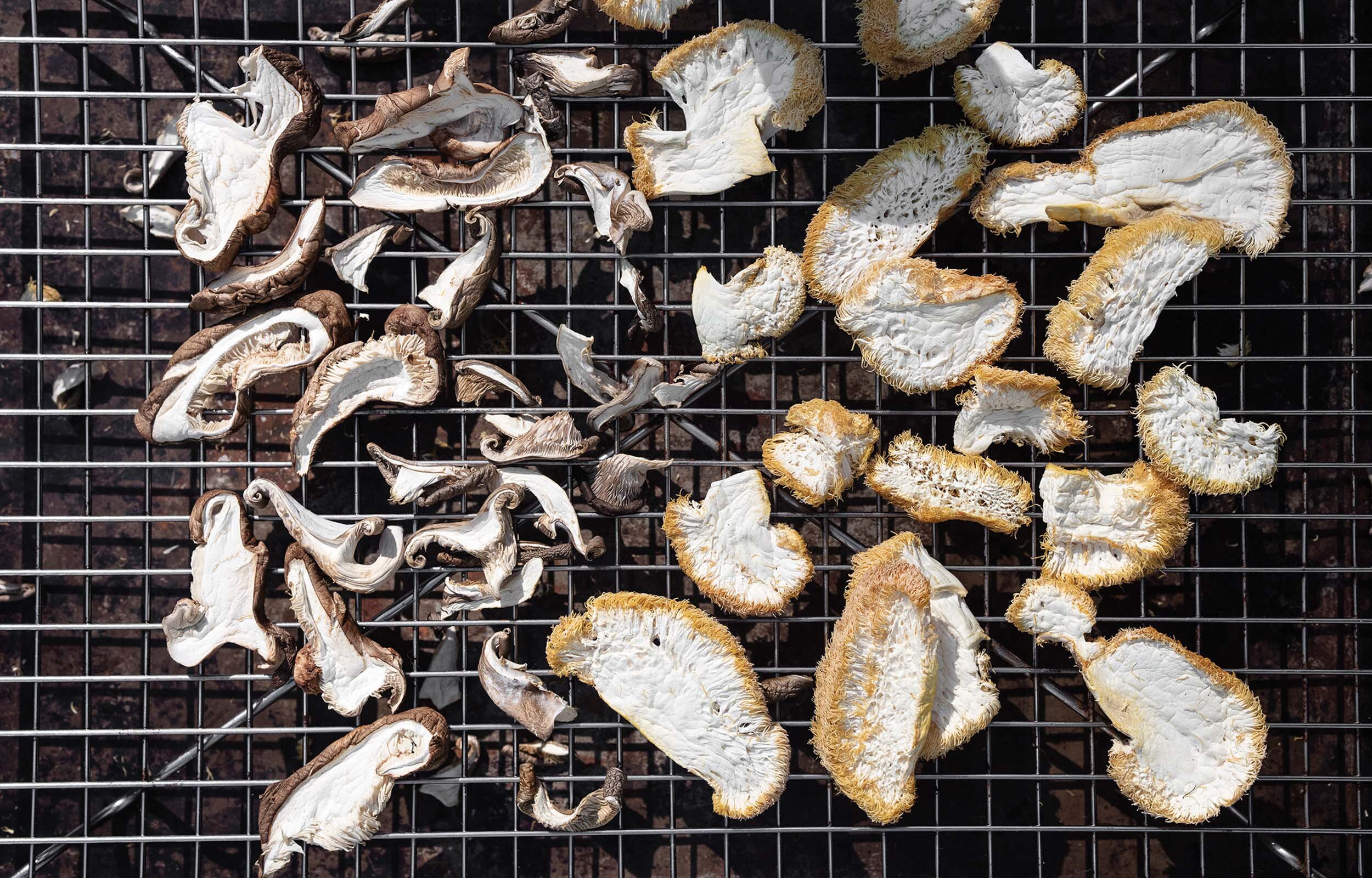 Sun-Dried Mushrooms