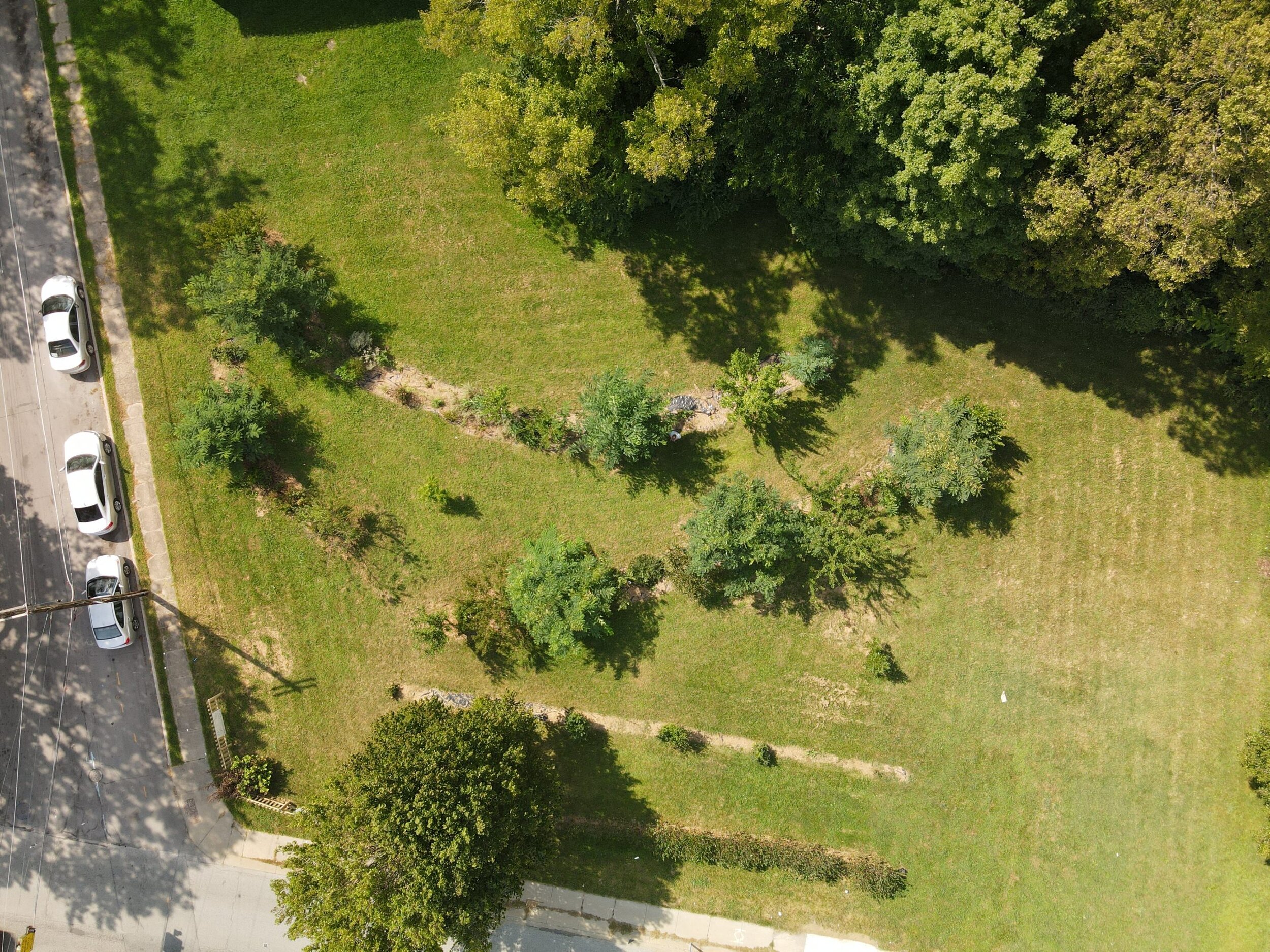 Common Orchard Project