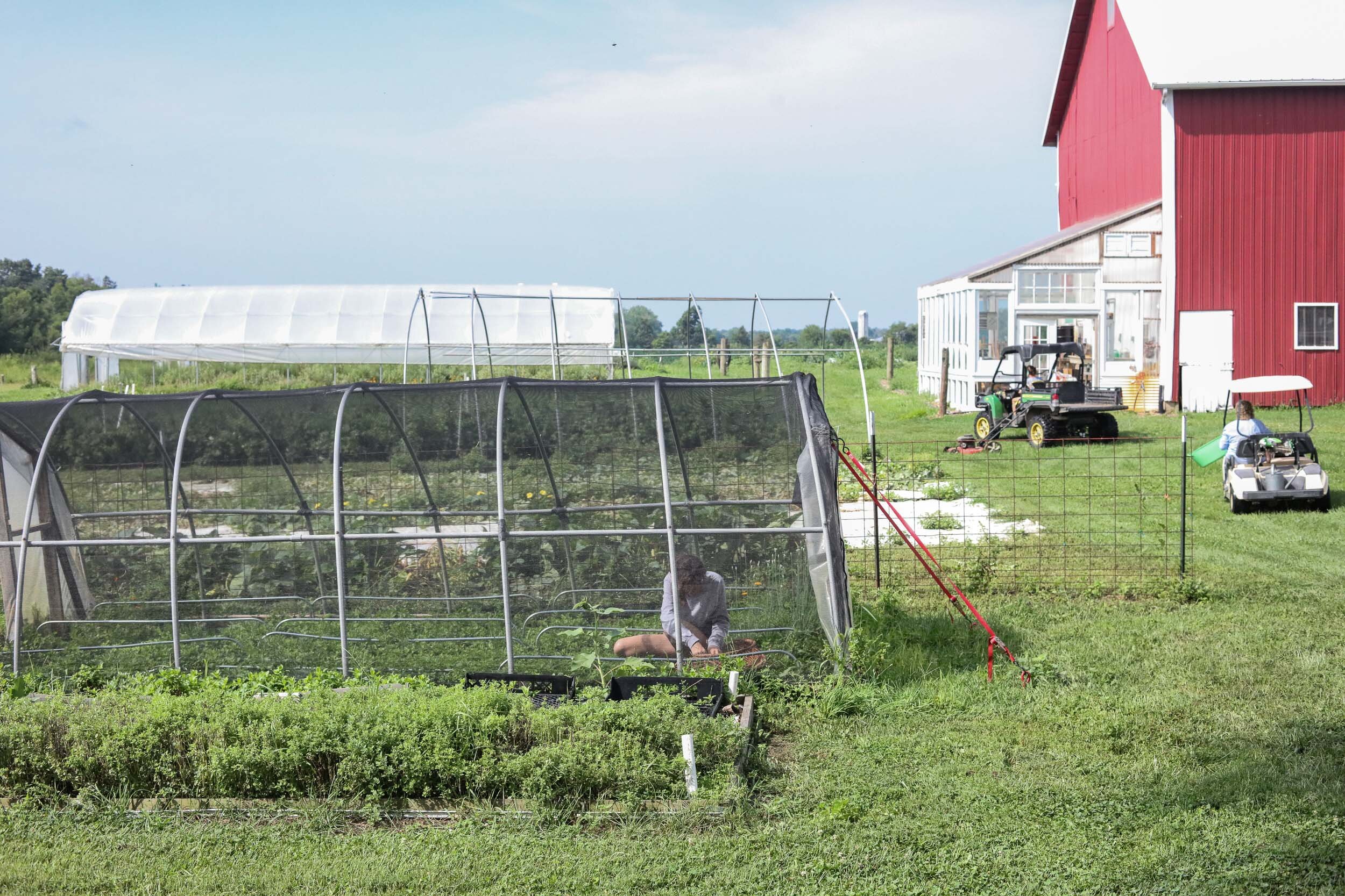 Brickle Creek Organic Farm