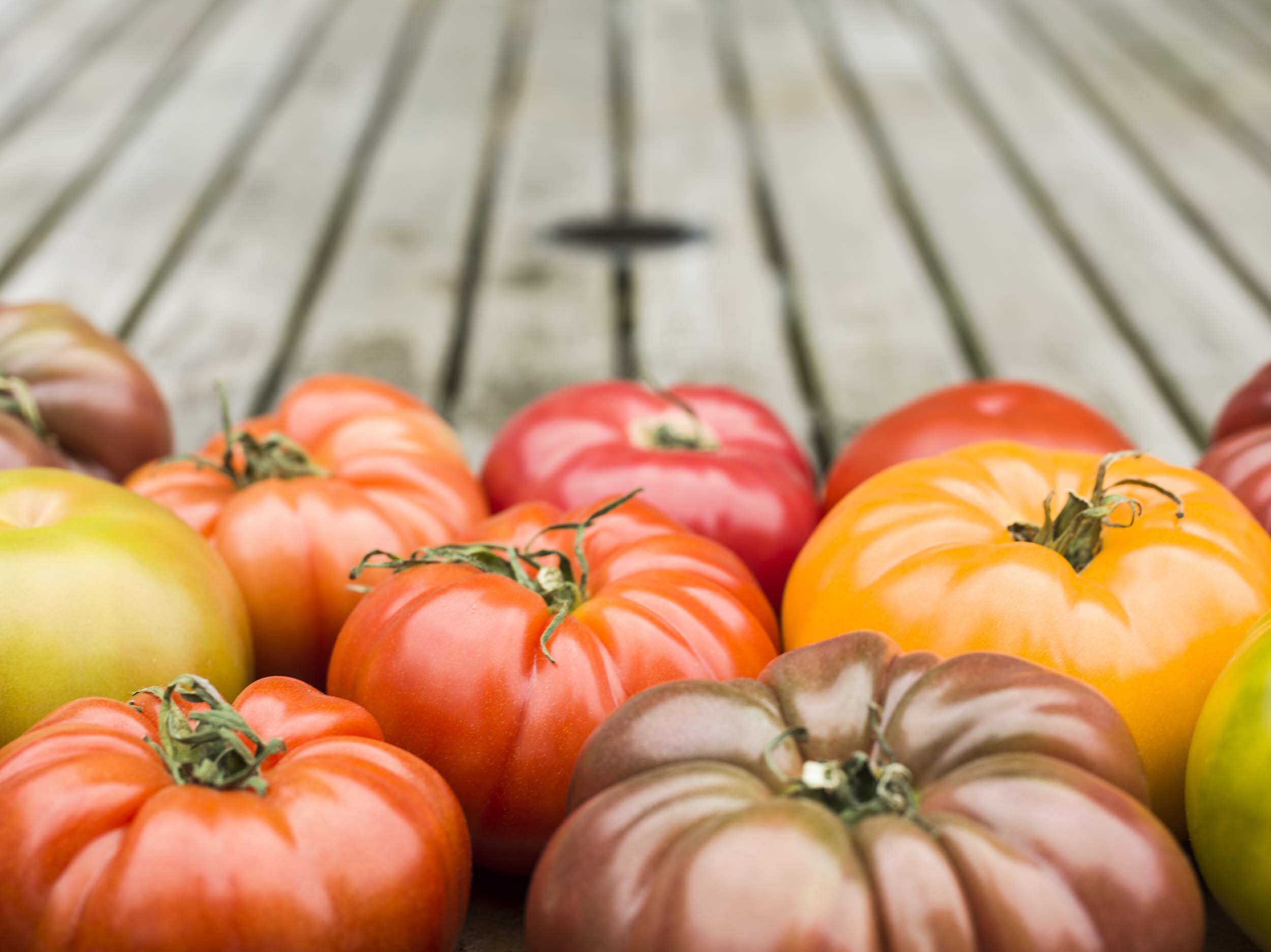 Tomatoland