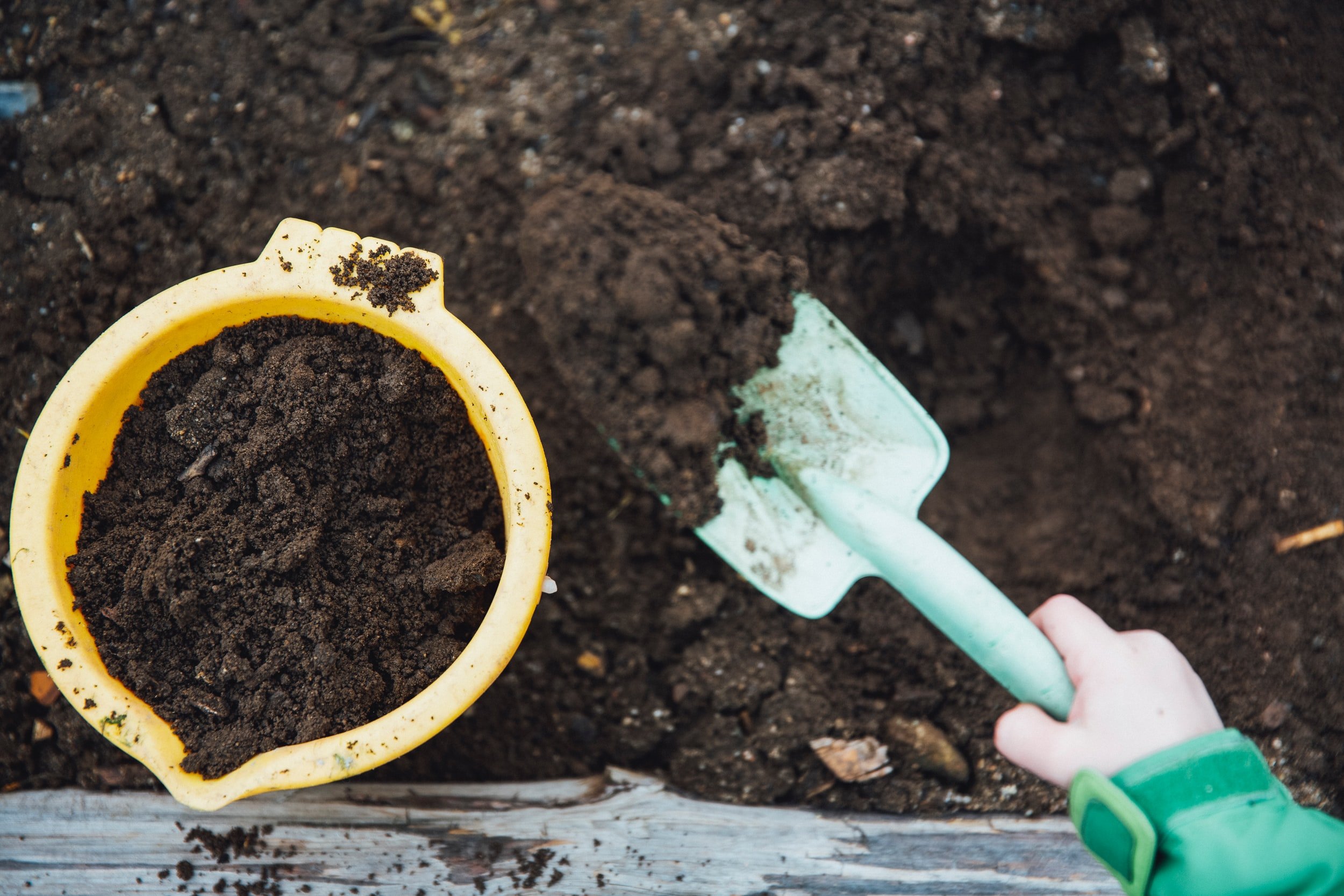 Organic Gardening Amendments