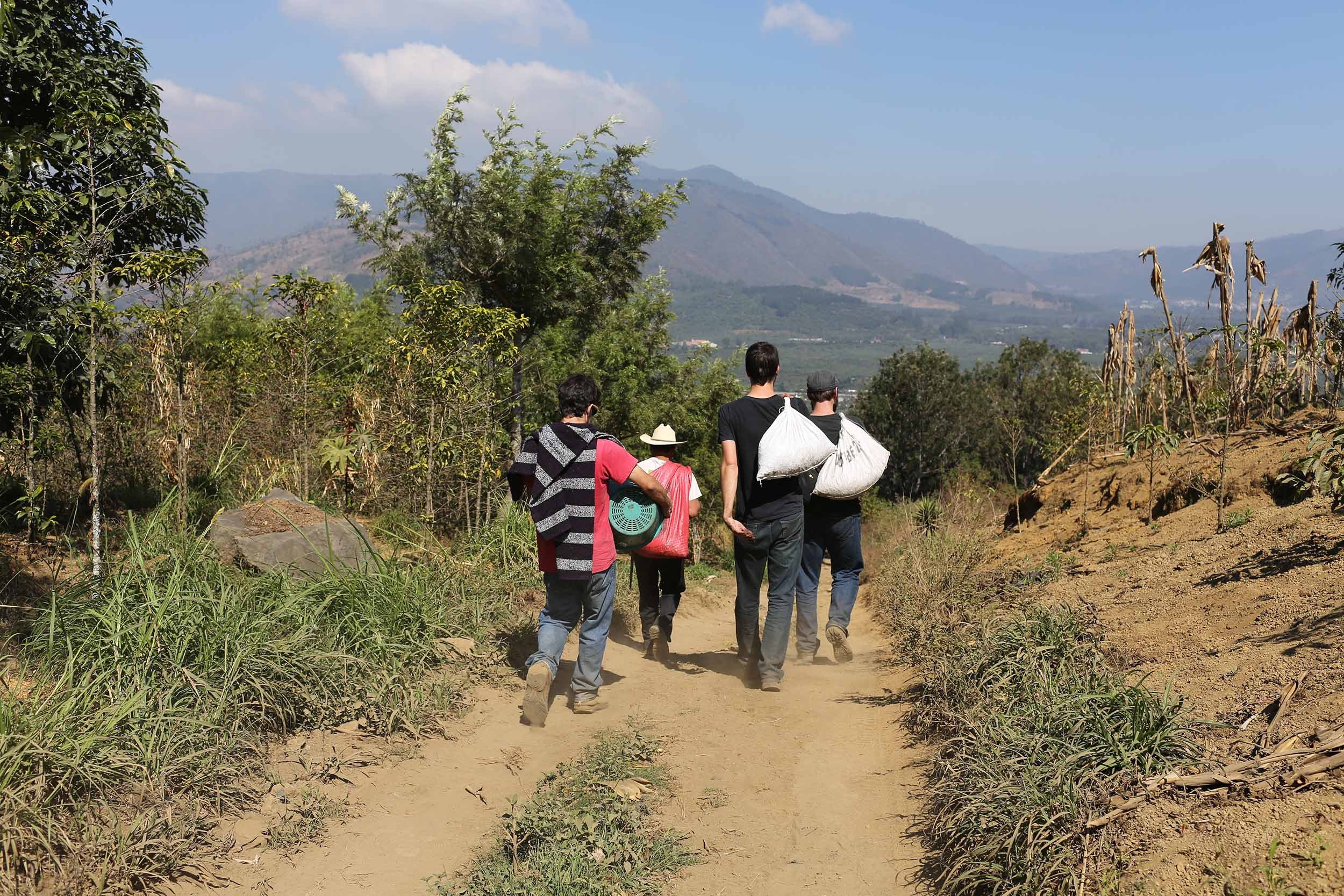 Workers walk back from a farm after picking in San Miguel Escobar, Guatemala. 