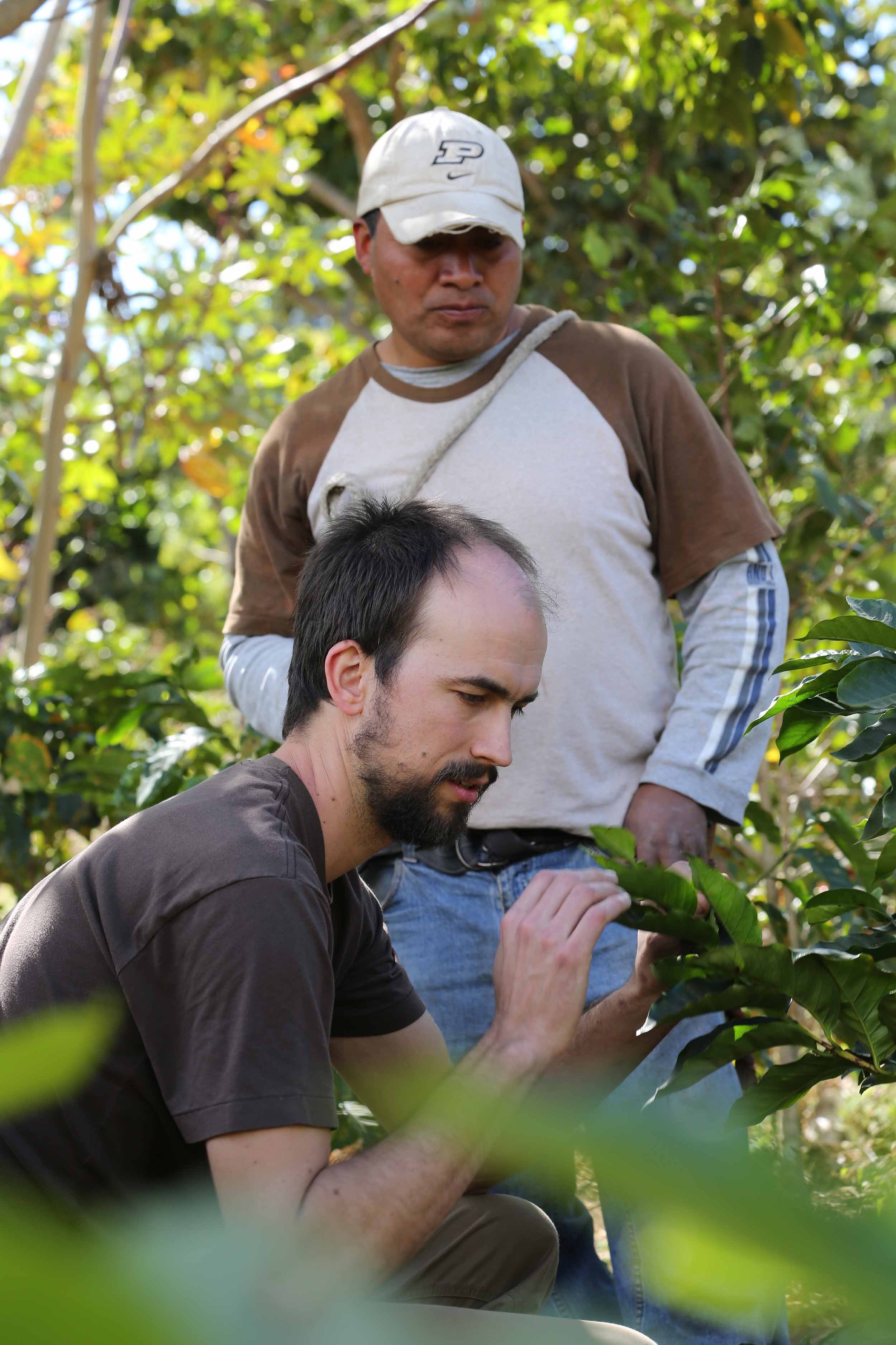  At the farm, producer Julio Cuy and Les Stoneham of Deeper Roots in Cincinnati inspect a tree.  