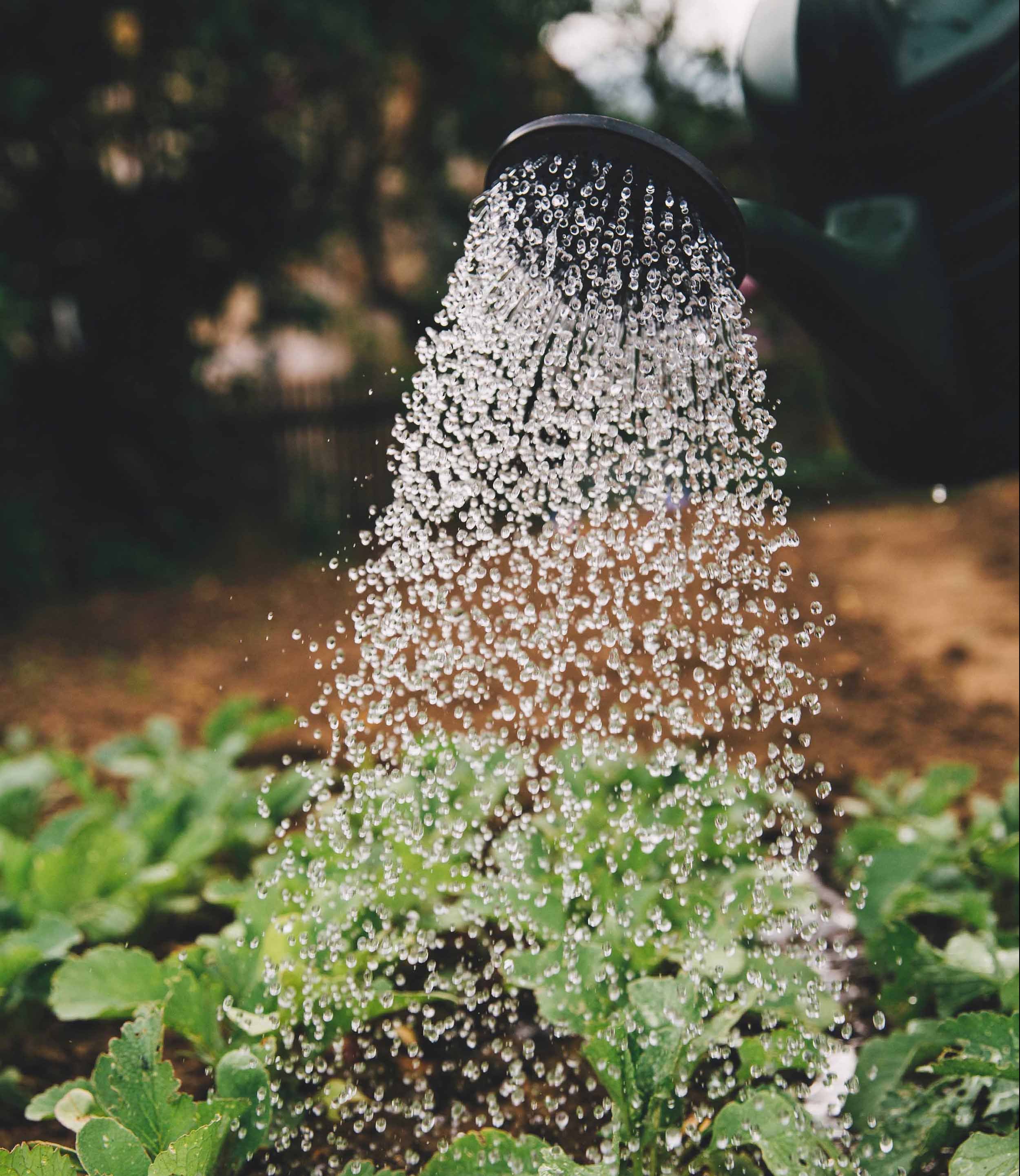 It All Starts with Soil