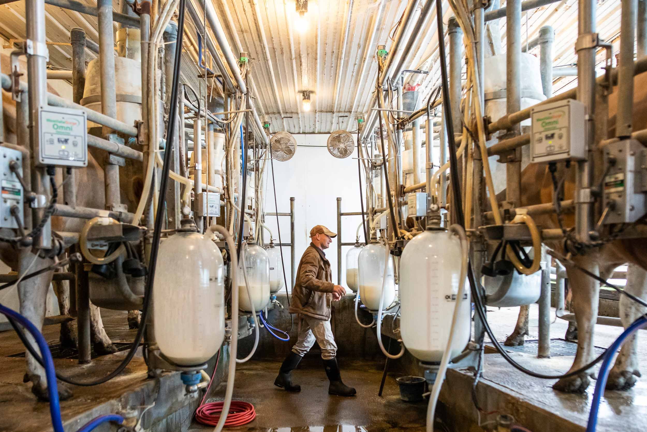 Swallow Hill Dairy