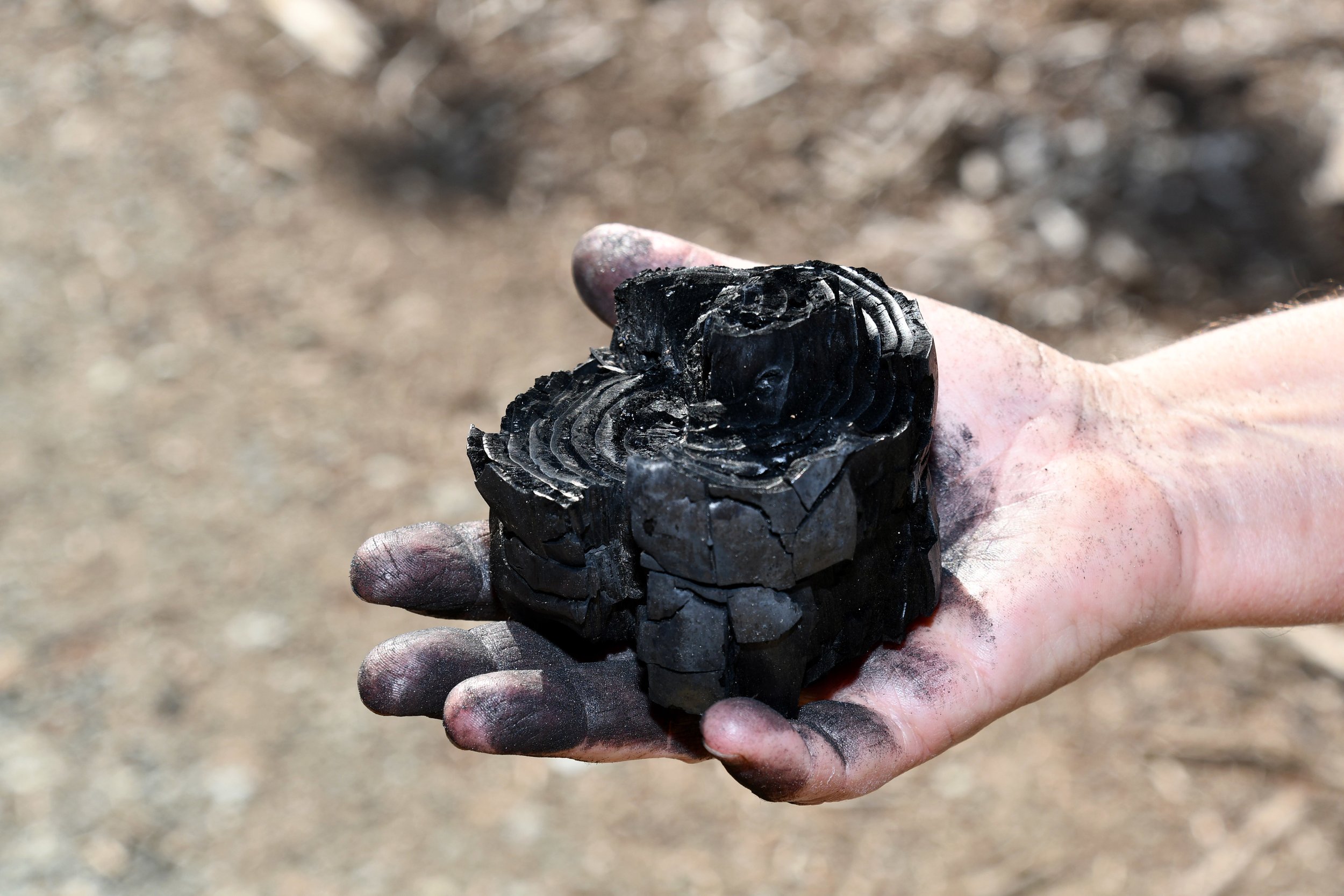 Biochar’s Big, Carbon-Rich Moment?