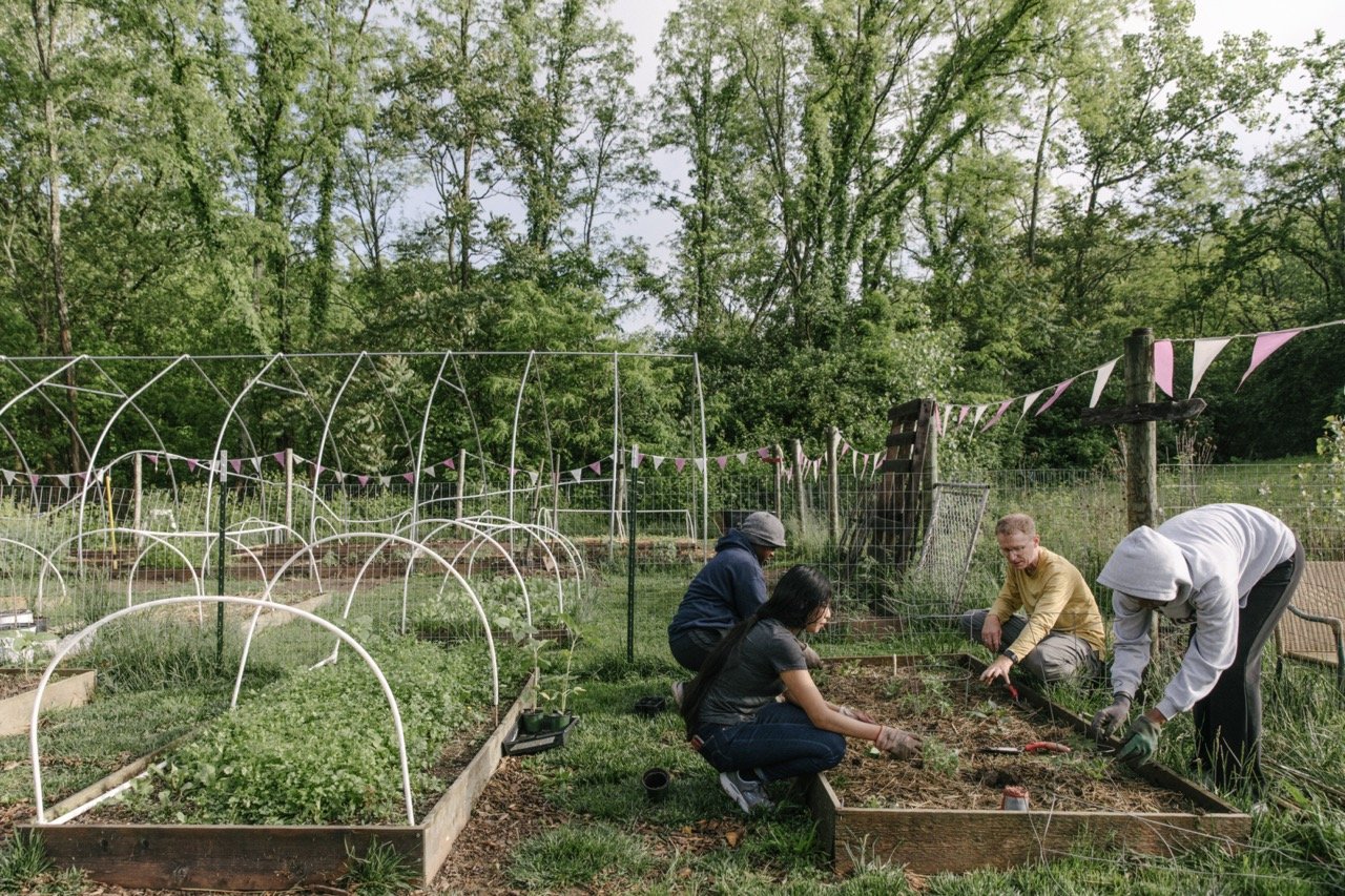 English. Math. Science. Farming.
