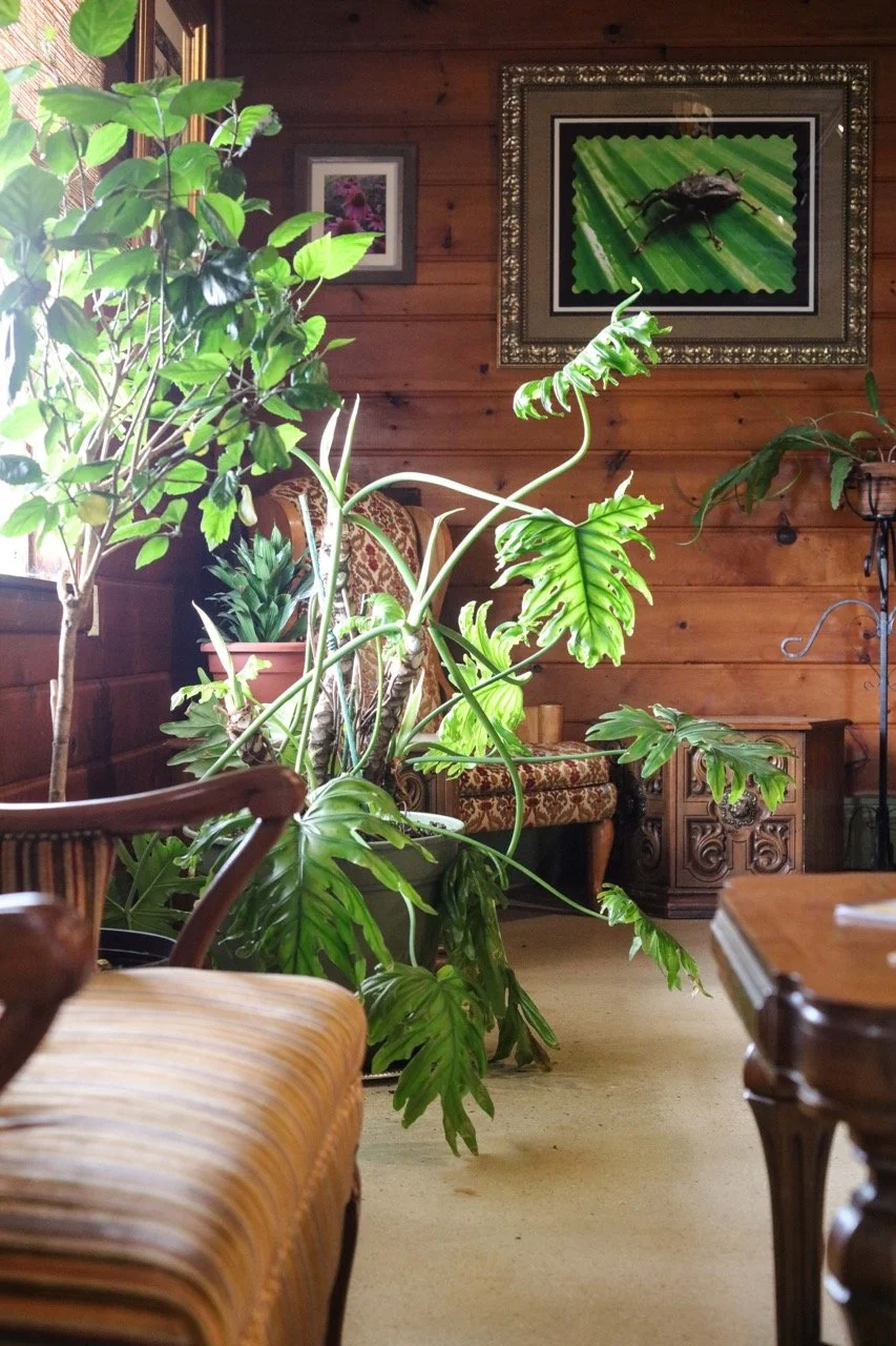 Full Circle Brewgarden_8 Large.jpeg