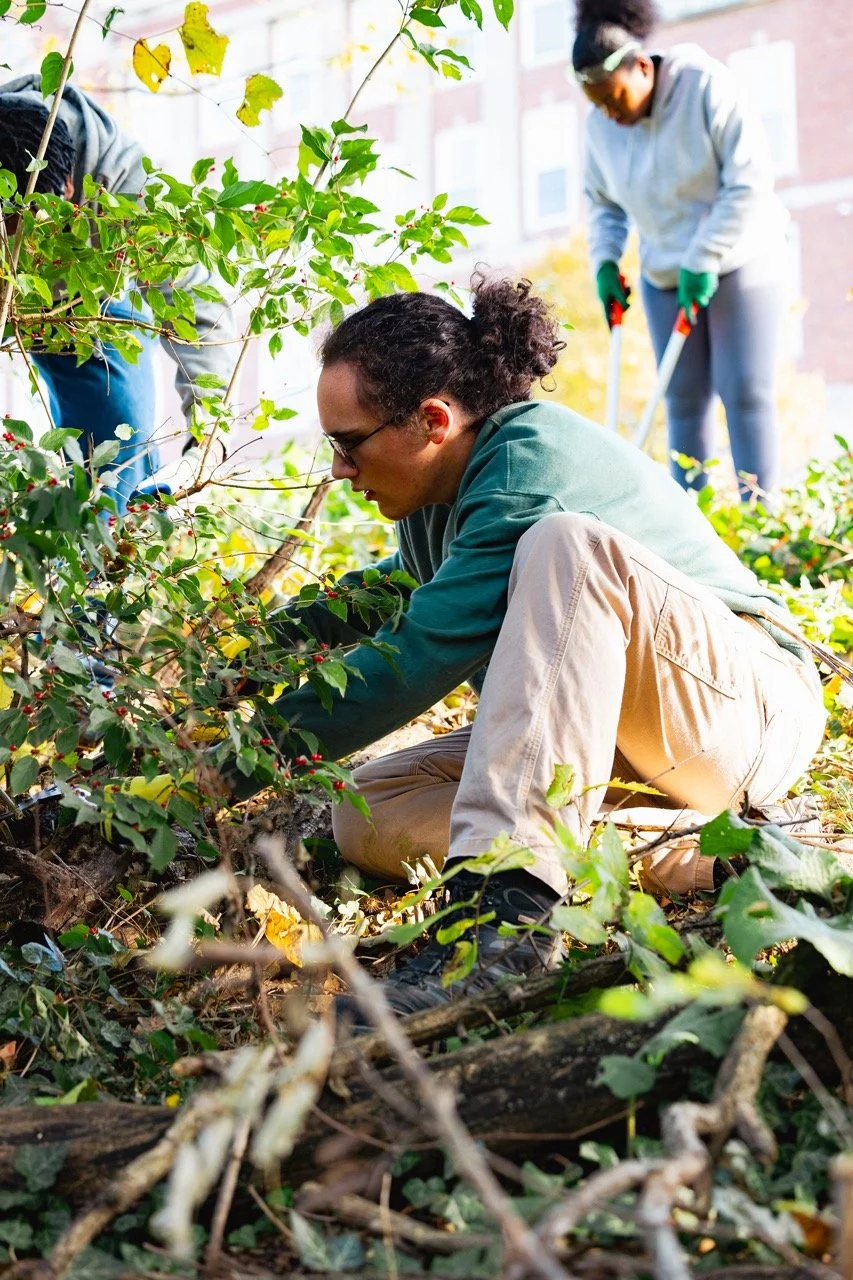 GroundWorksEdible-27 Sybilka Storie Large.jpeg