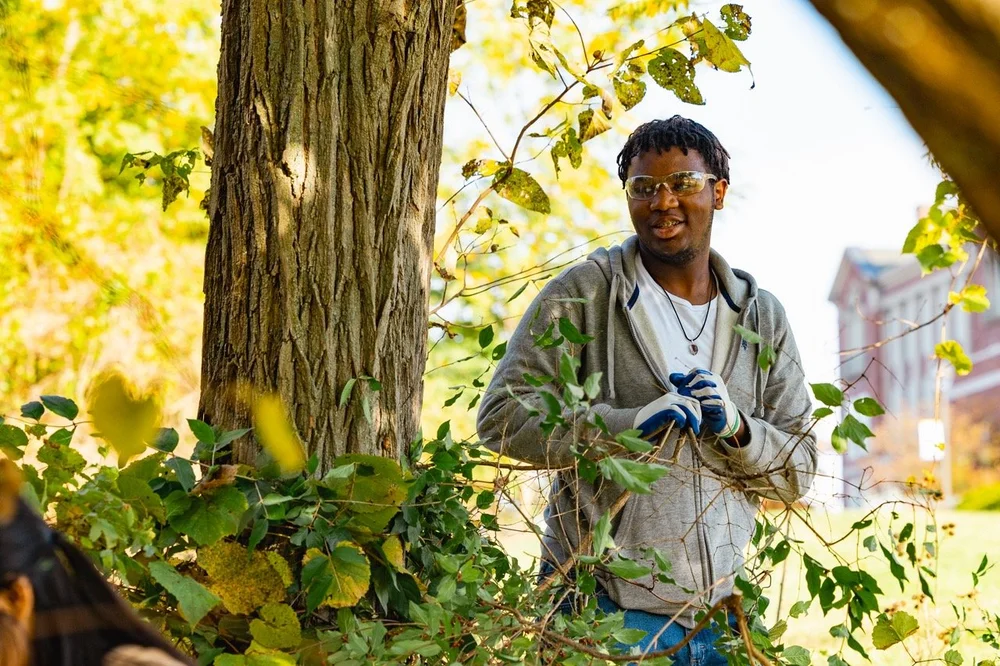 GroundWorksEdible-28 Sybilka Storie Large.jpeg