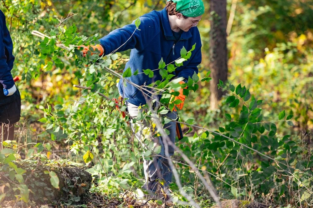 GroundWorksEdible-39 Sybilka Storie Large.jpeg