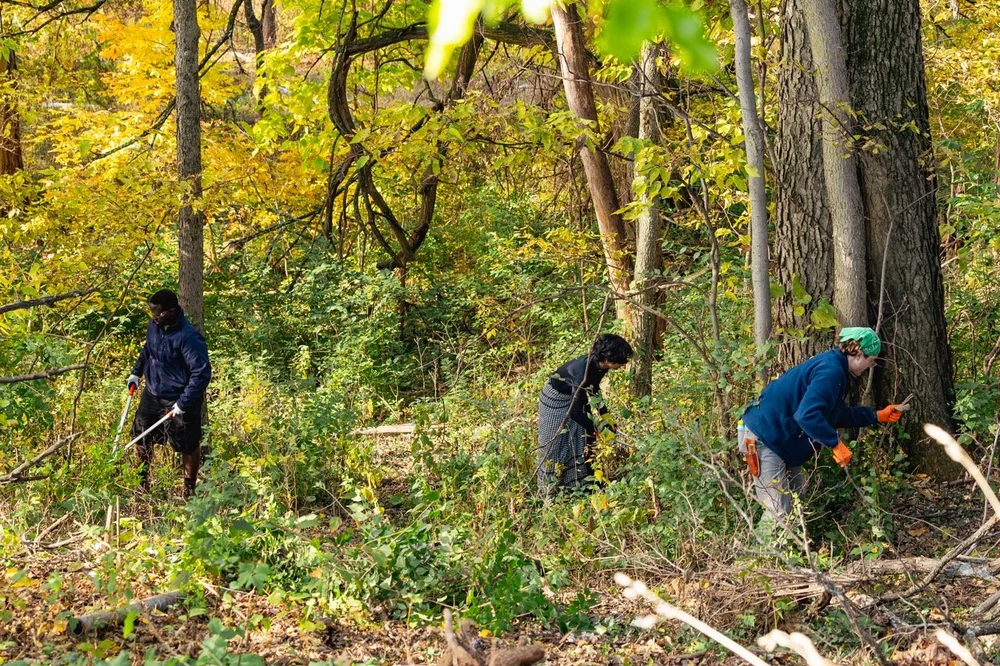 GroundWorksEdible-42 Sybilka Storie Large.jpeg