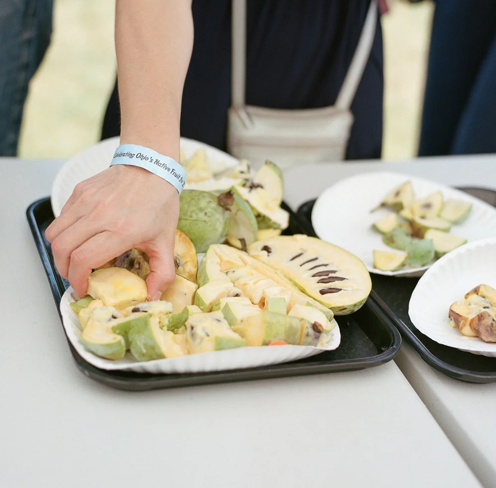 Hordinski_pawpaw_outtakes_0008 Large.jpeg