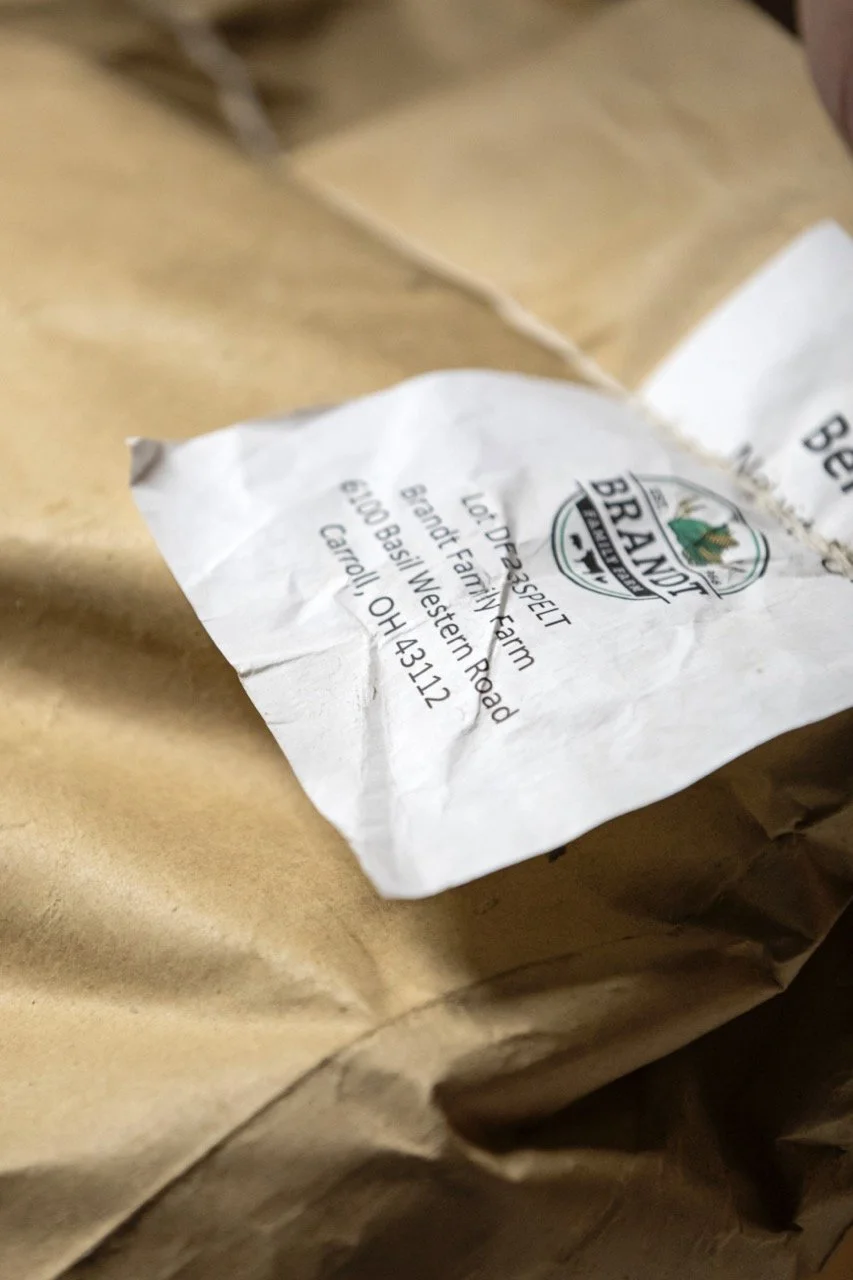 ElCamino_056 Allison McAdams Large.jpeg