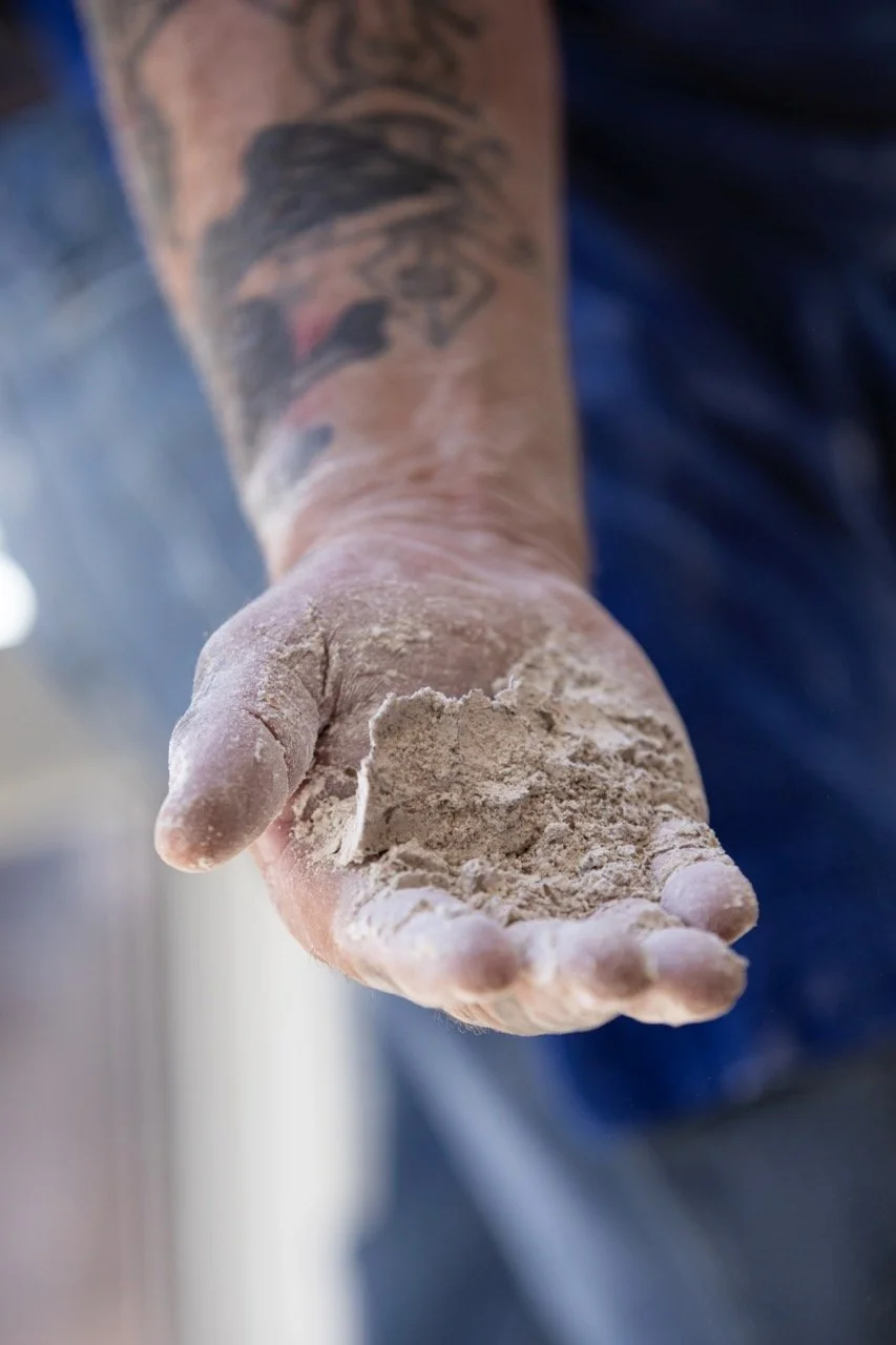 ElCamino_080 Allison McAdams Large.jpeg