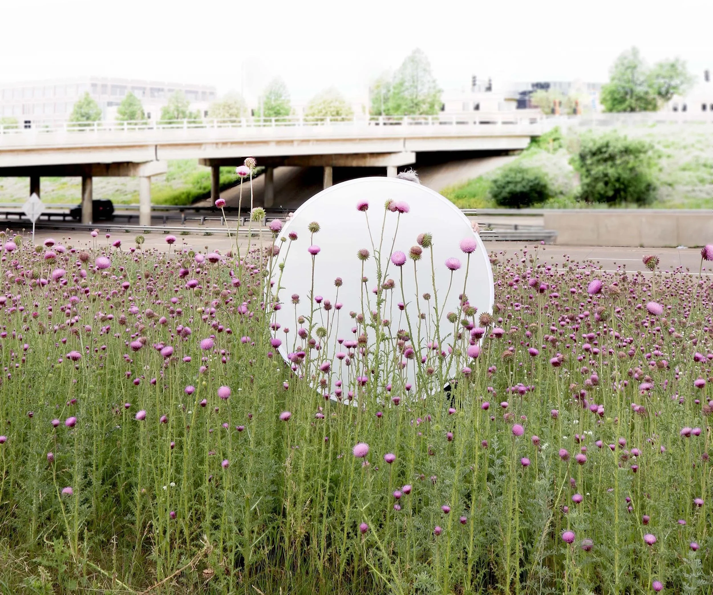 Gardening as Inspiration