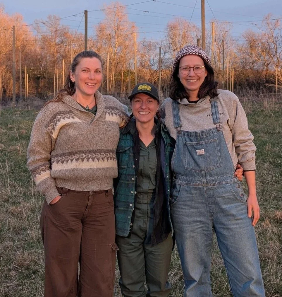 Big Table Farm Co-op