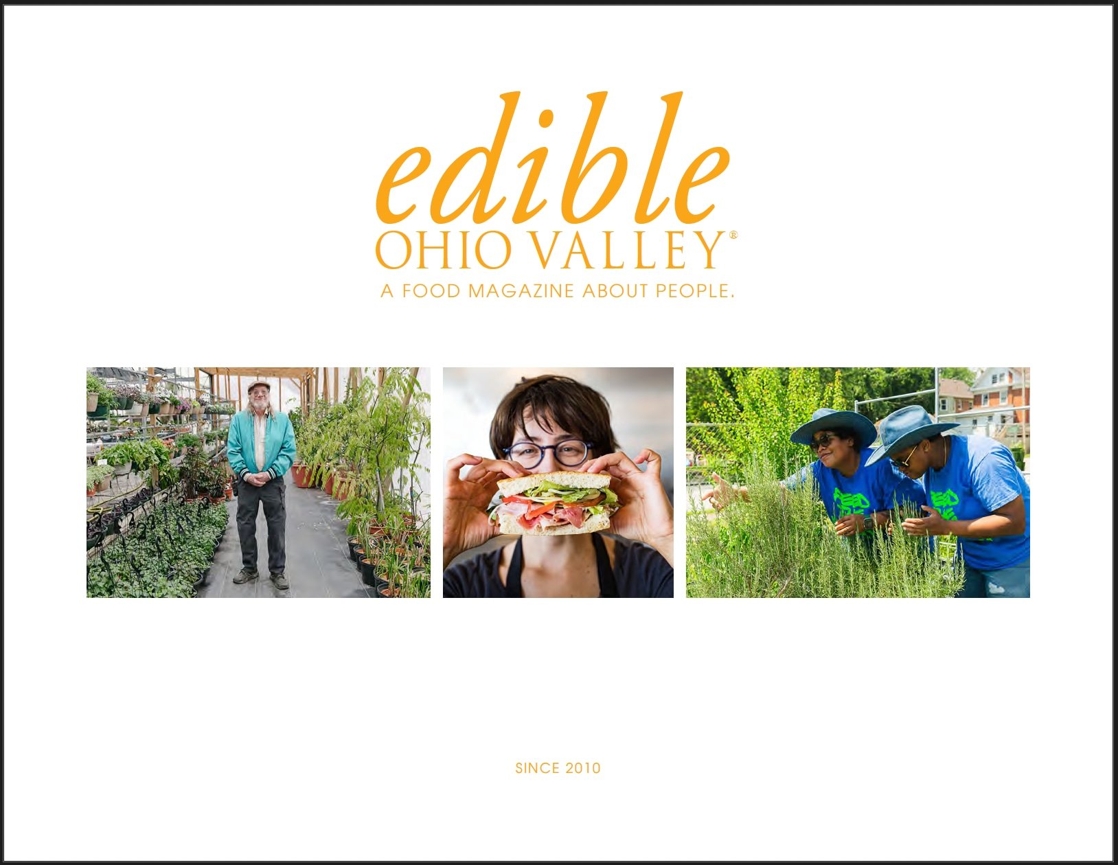 Edible Media Kit
