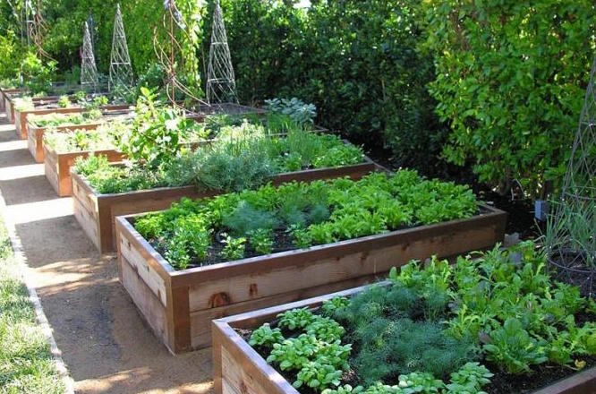 gardening.jpg