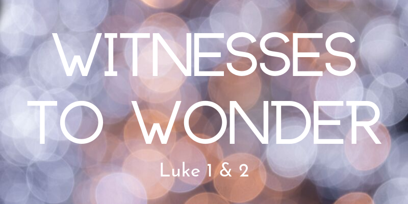 Witnesses to Wonder-3.png
