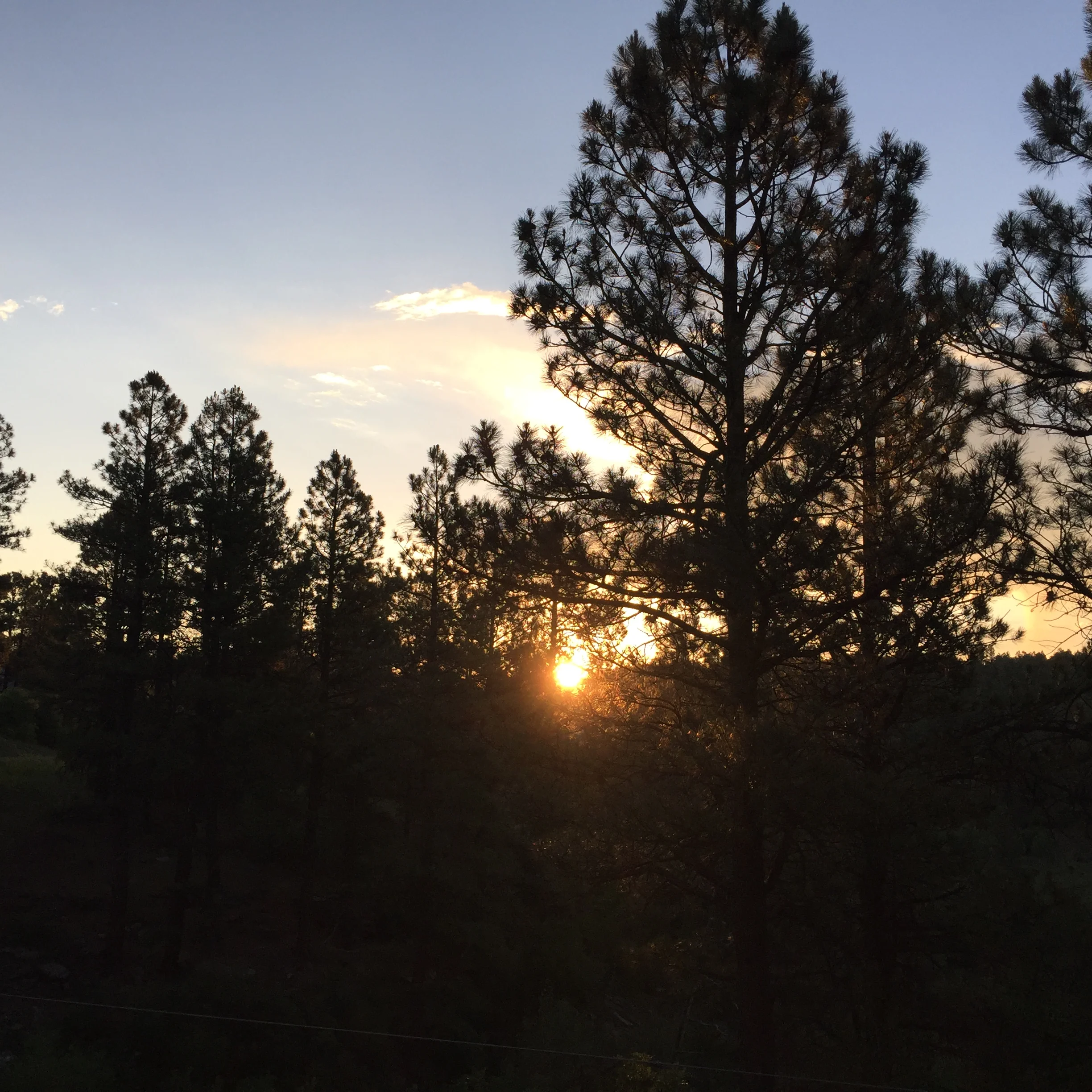 The Majesty of Morning