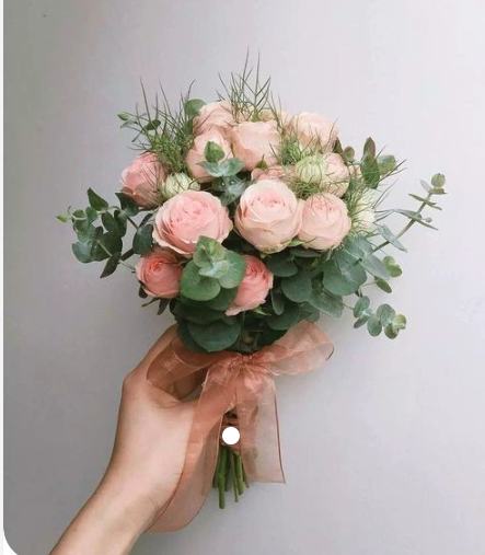 Screen Shot 2024-09-16 at 12.51.55 PM.png