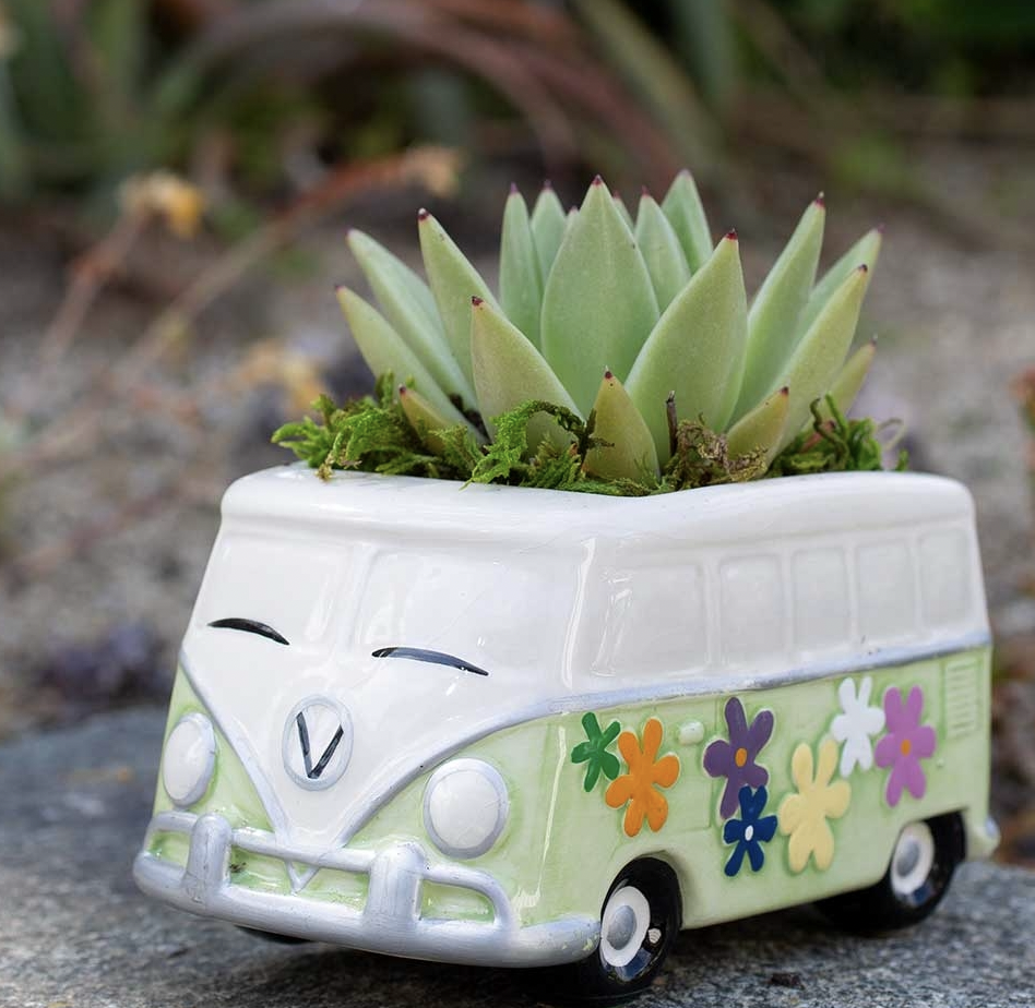 Screen Shot 2022-01-20 at 5.43.23 PM.png