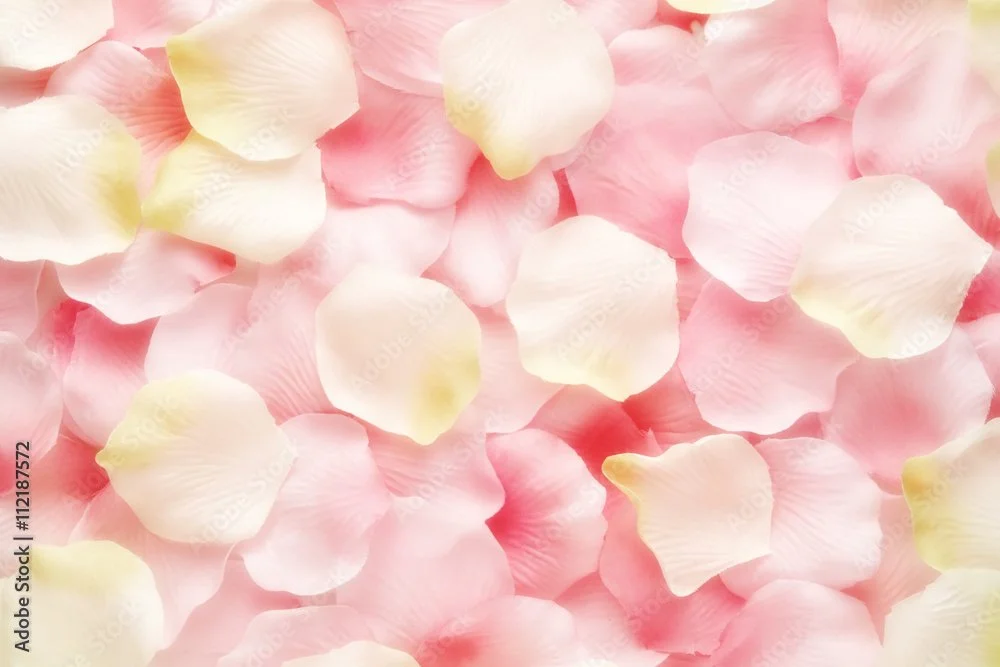 pink rose petals.jpeg