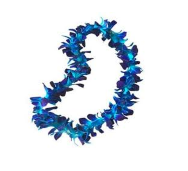 Screen Shot 2023-05-08 at 6.50.04 PM.png