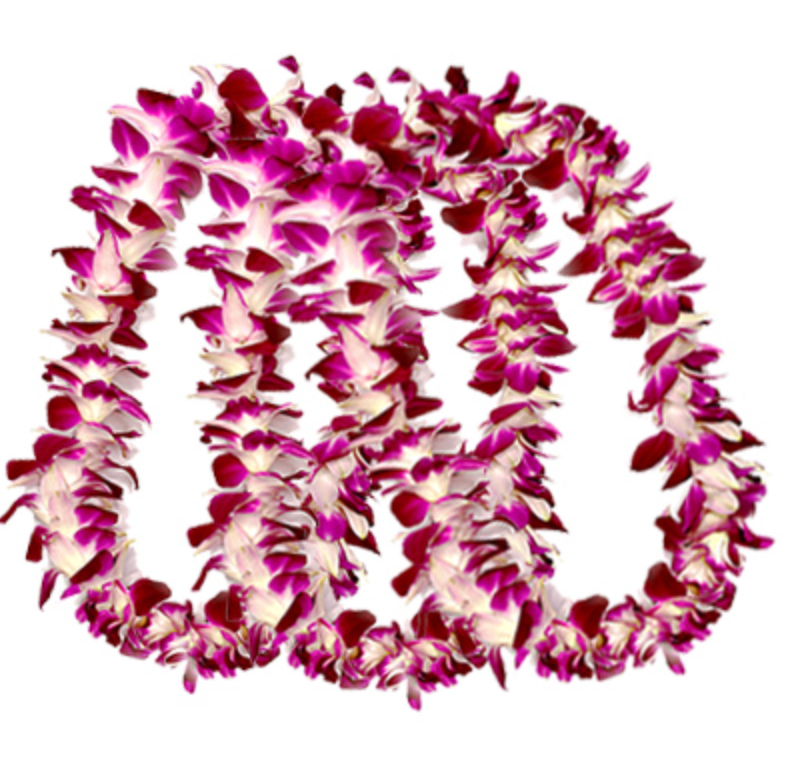 Screen Shot 2023-05-08 at 6.52.22 PM.png