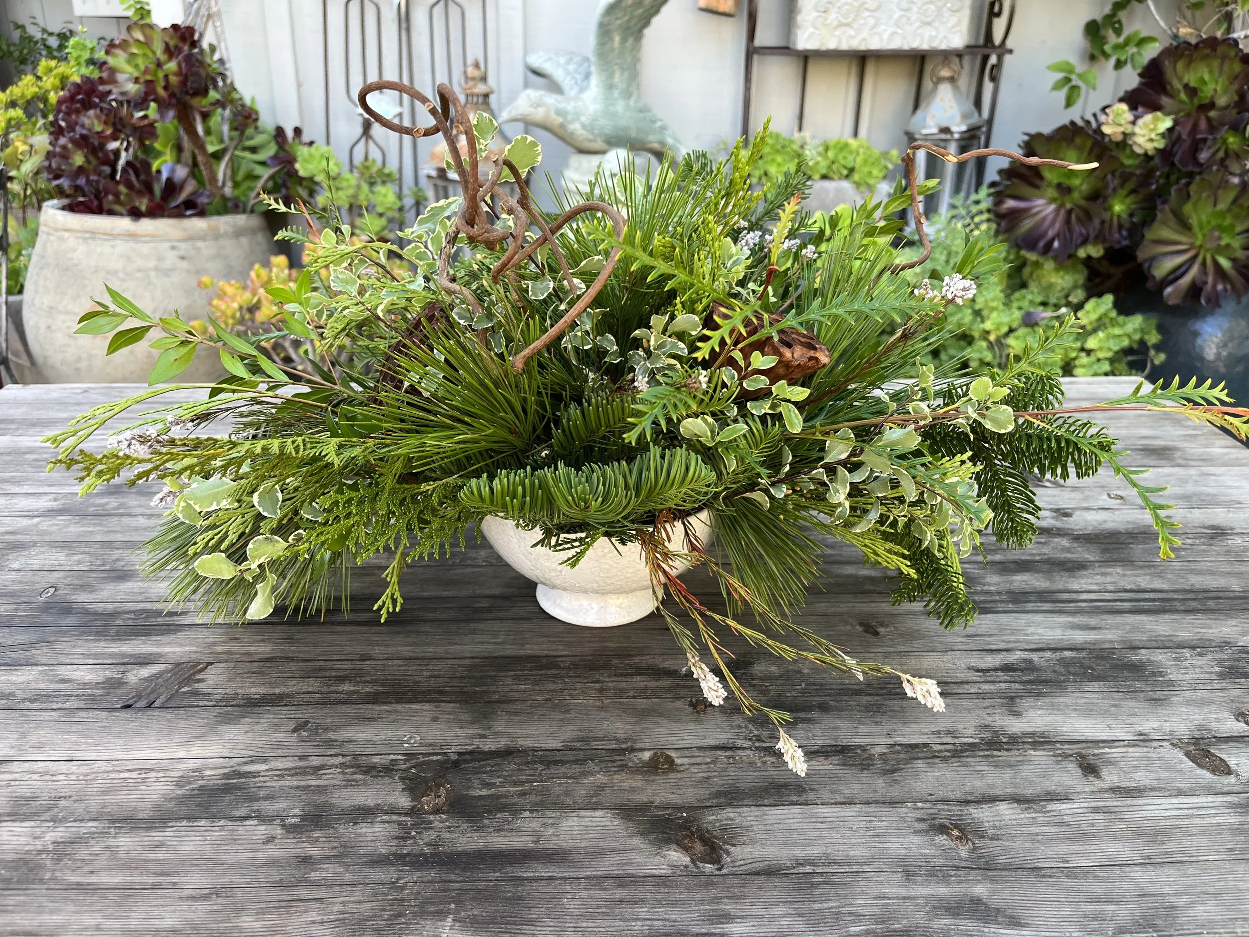 Dirt Botanicals, Carpinteria Florist — All things botanical