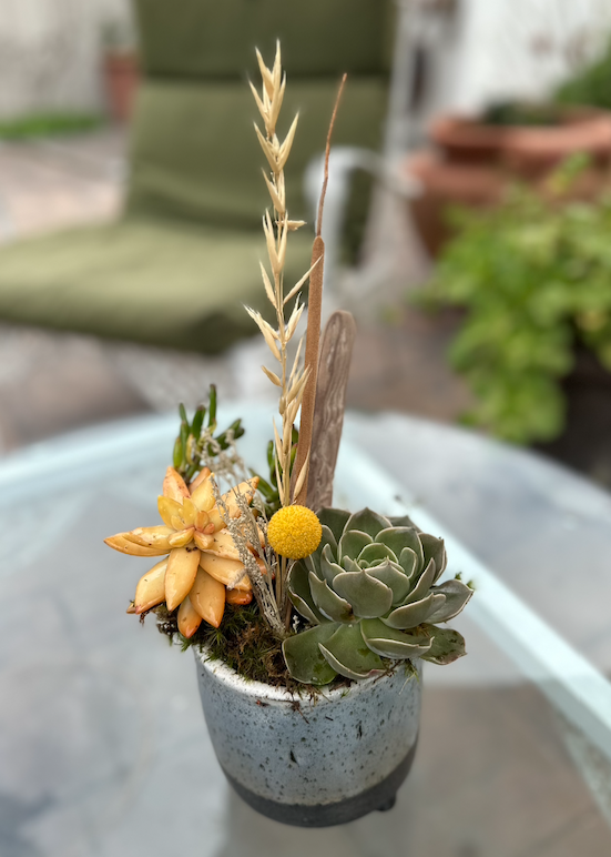 Screen Shot 2024-02-18 at 11.01.07 AM.png