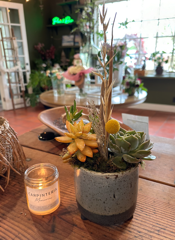 Screen Shot 2024-02-18 at 11.01.35 AM.png