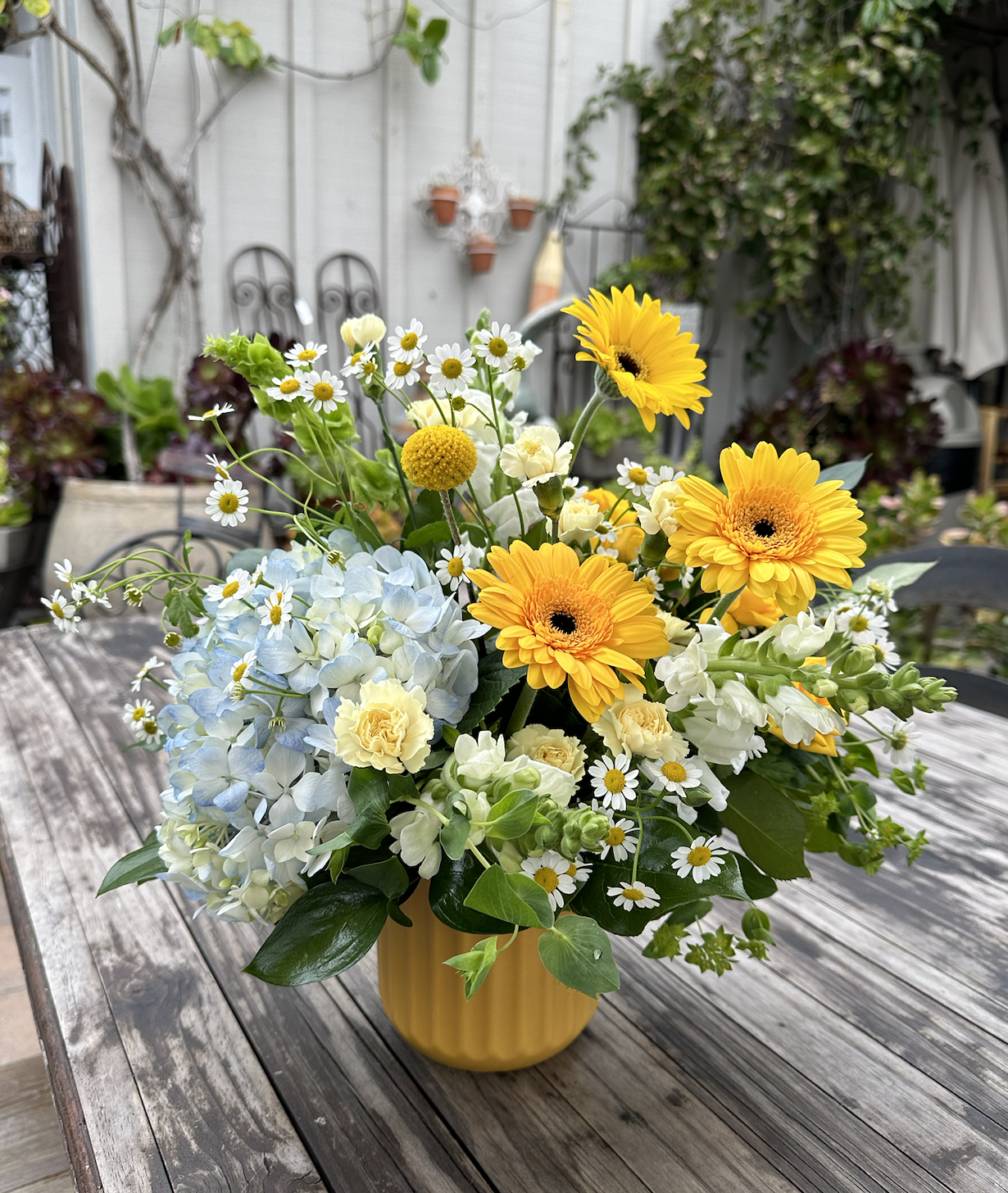 Screenshot 2024-02-29 at 7.53.20 PM.png