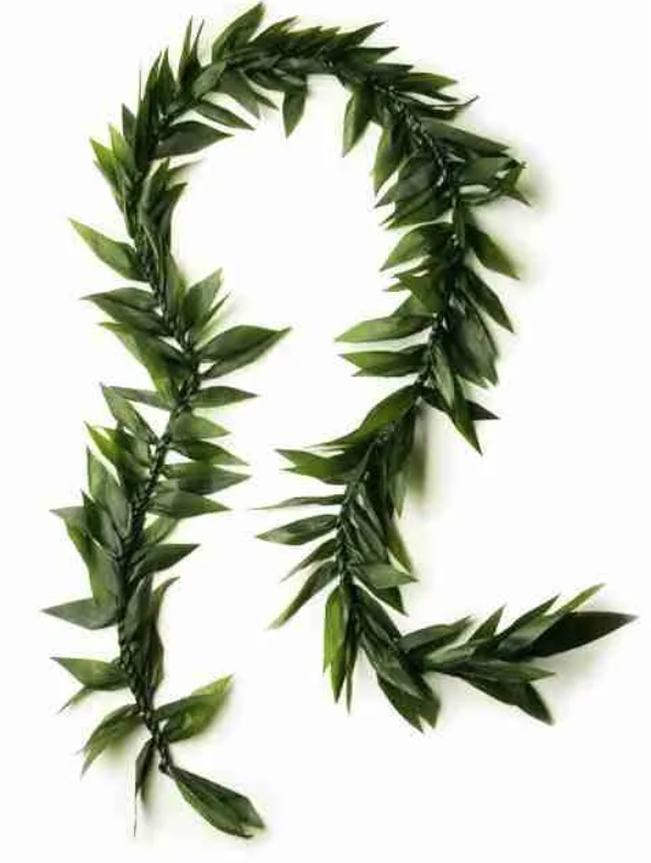 Screen Shot 2023-05-15 at 6.31.07 PM.png