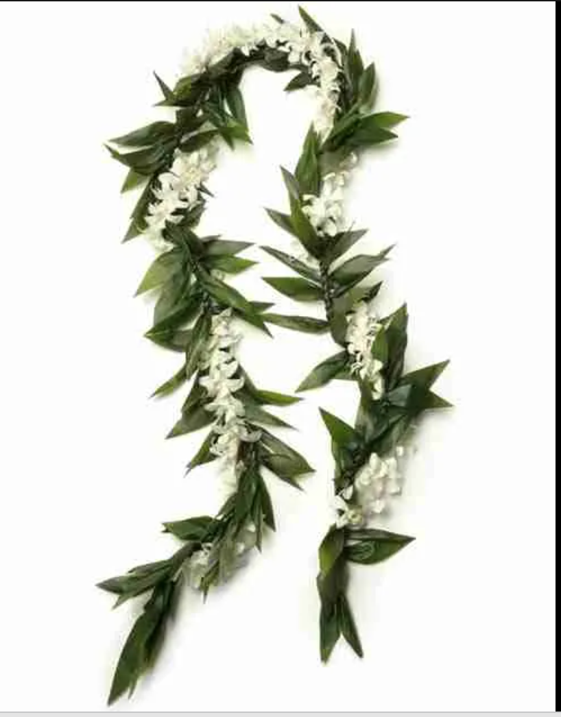 Screen Shot 2023-05-15 at 11.13.46 PM.png