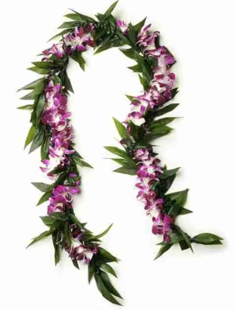 Screen Shot 2023-05-15 at 11.13.28 PM.png