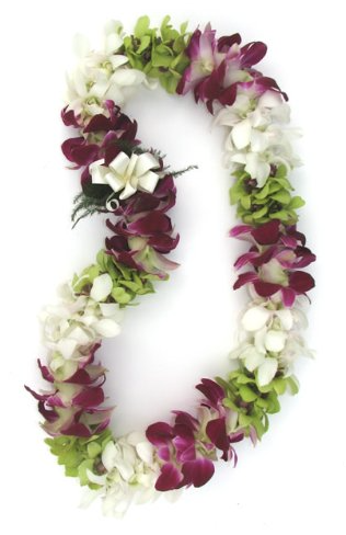 Double Green, White and Sonia.png