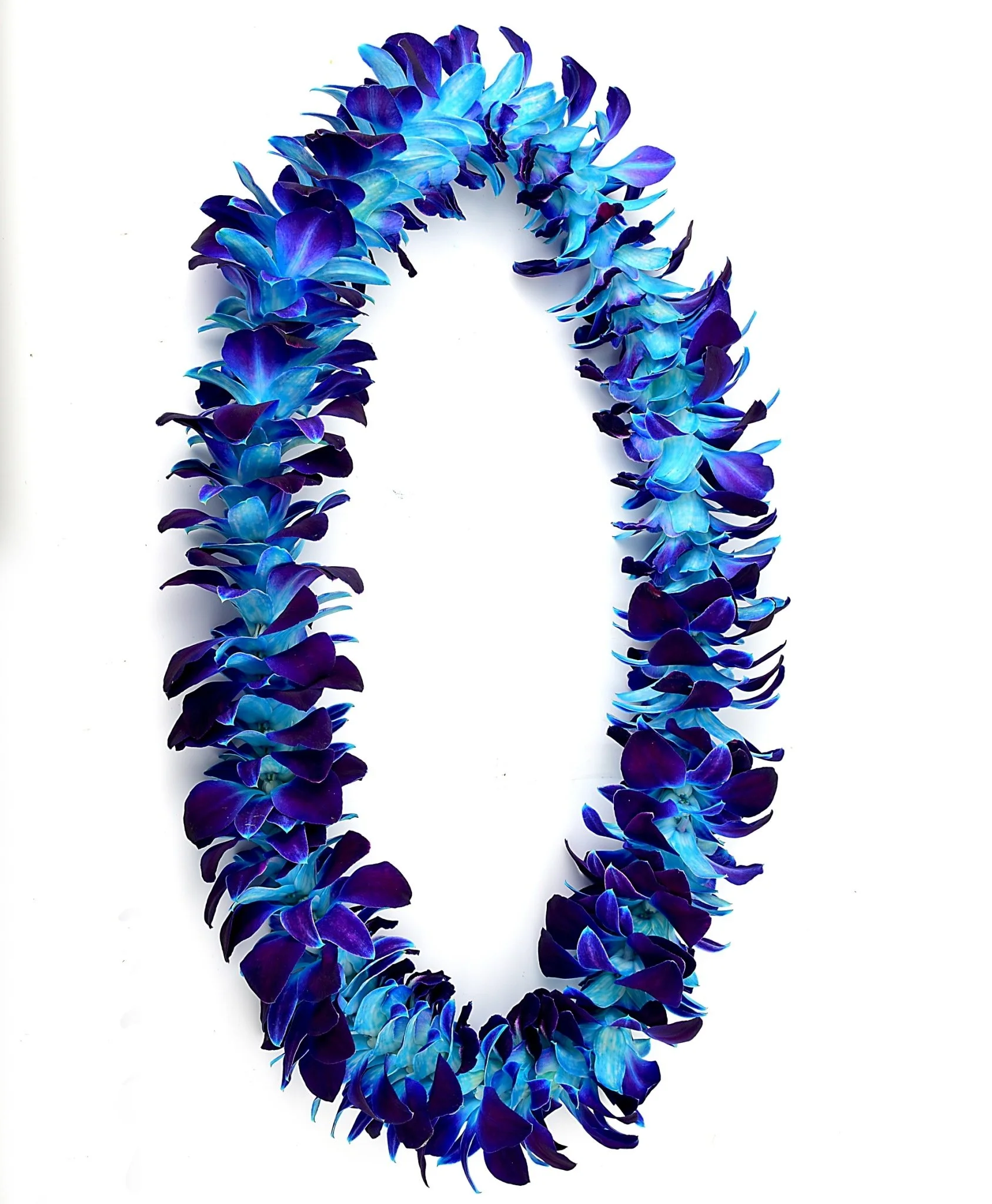 Single Sonia Dyed Blue.jpg