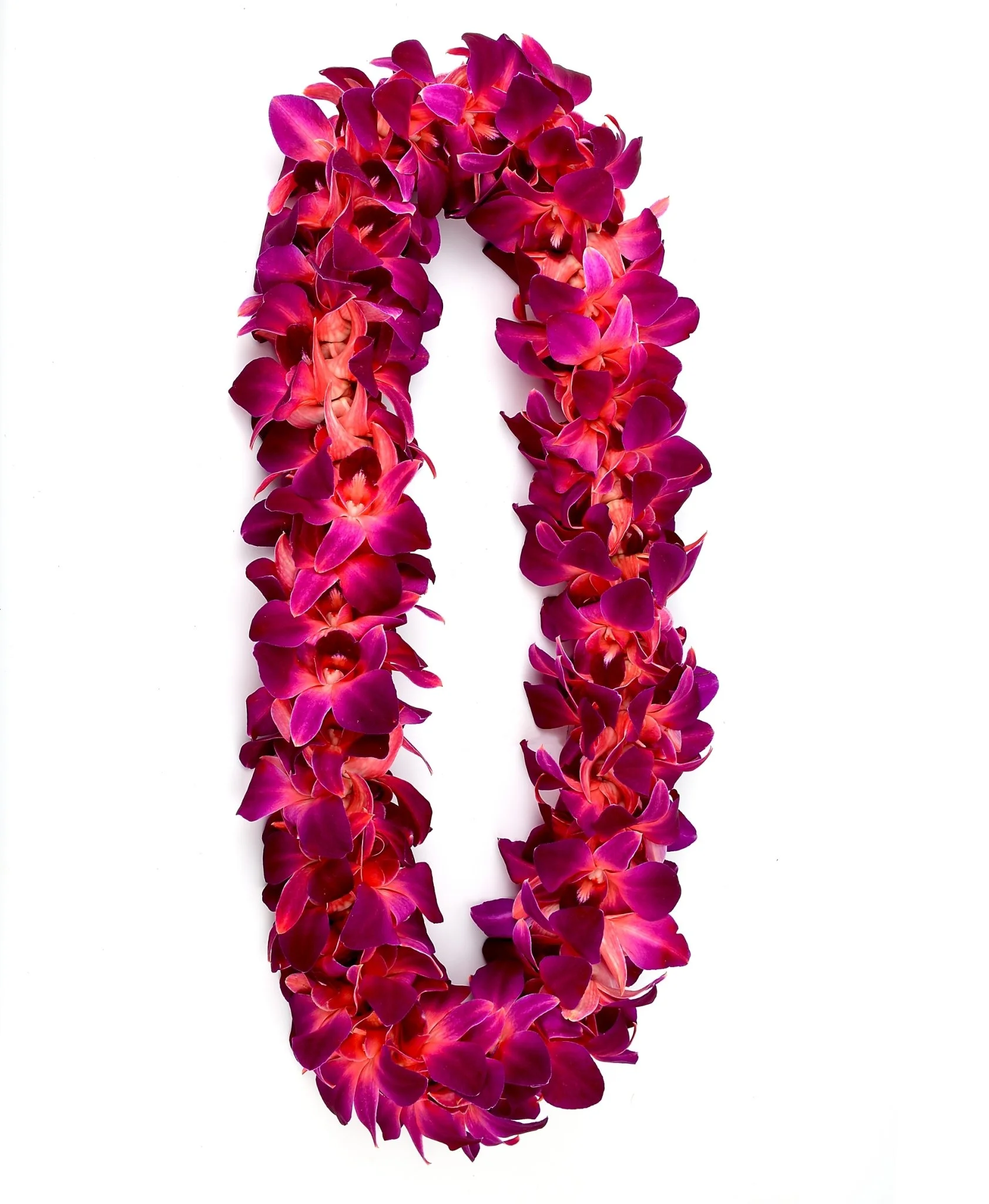 Double Sonia Dyed Red.jpg