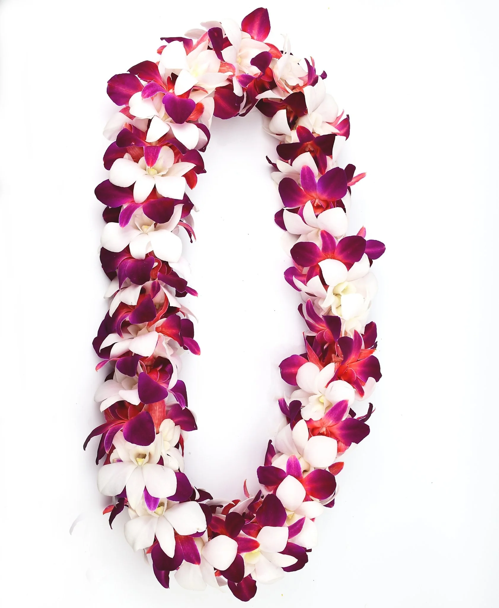 Double White and Dyed Red.jpg