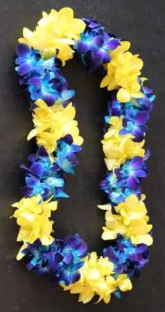 double blue & yellow lei.jpg