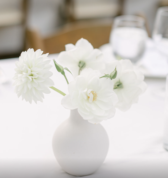 Screenshot 2024-12-02 at 8.24.56 PM.png